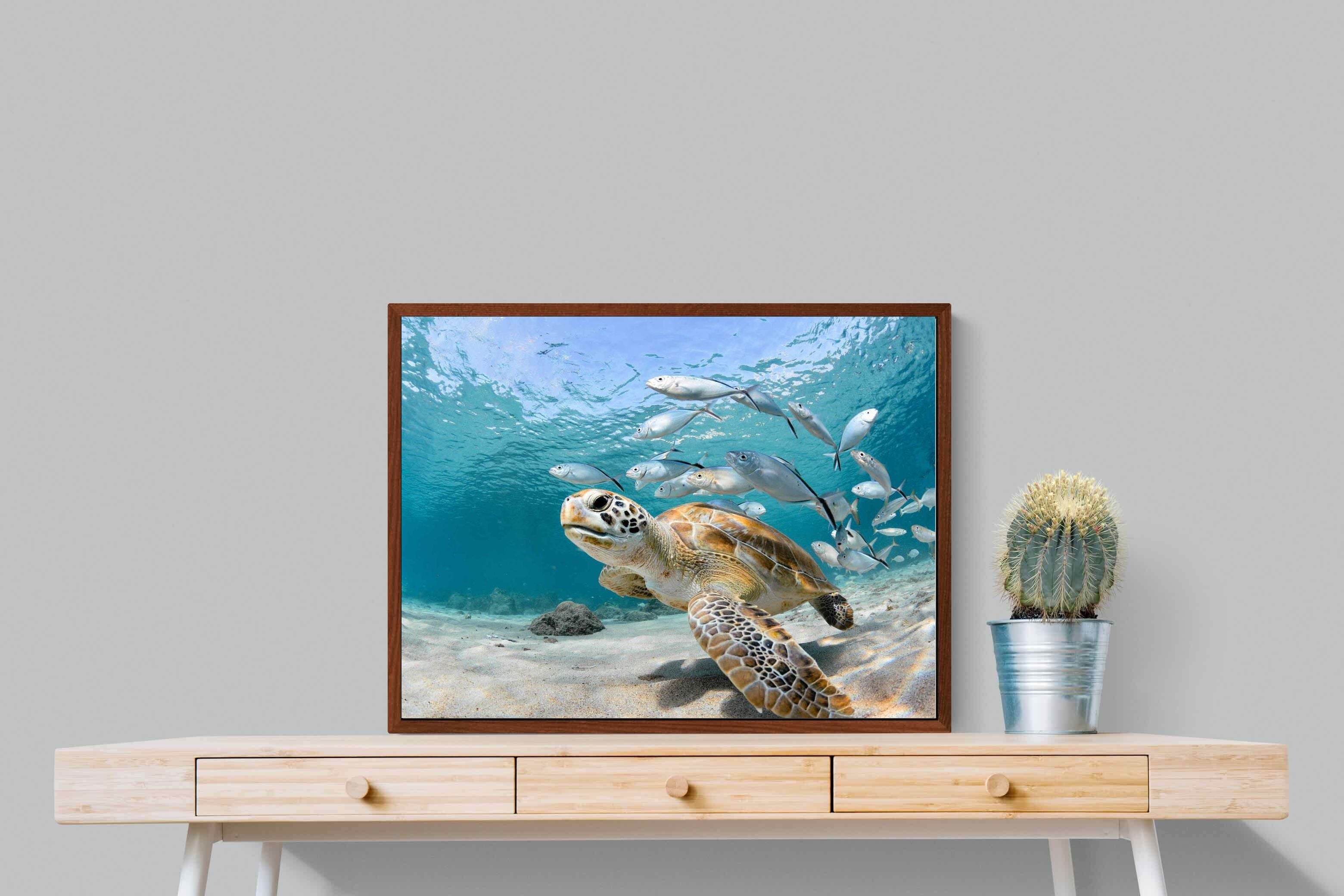 Pixalot ® Turtle