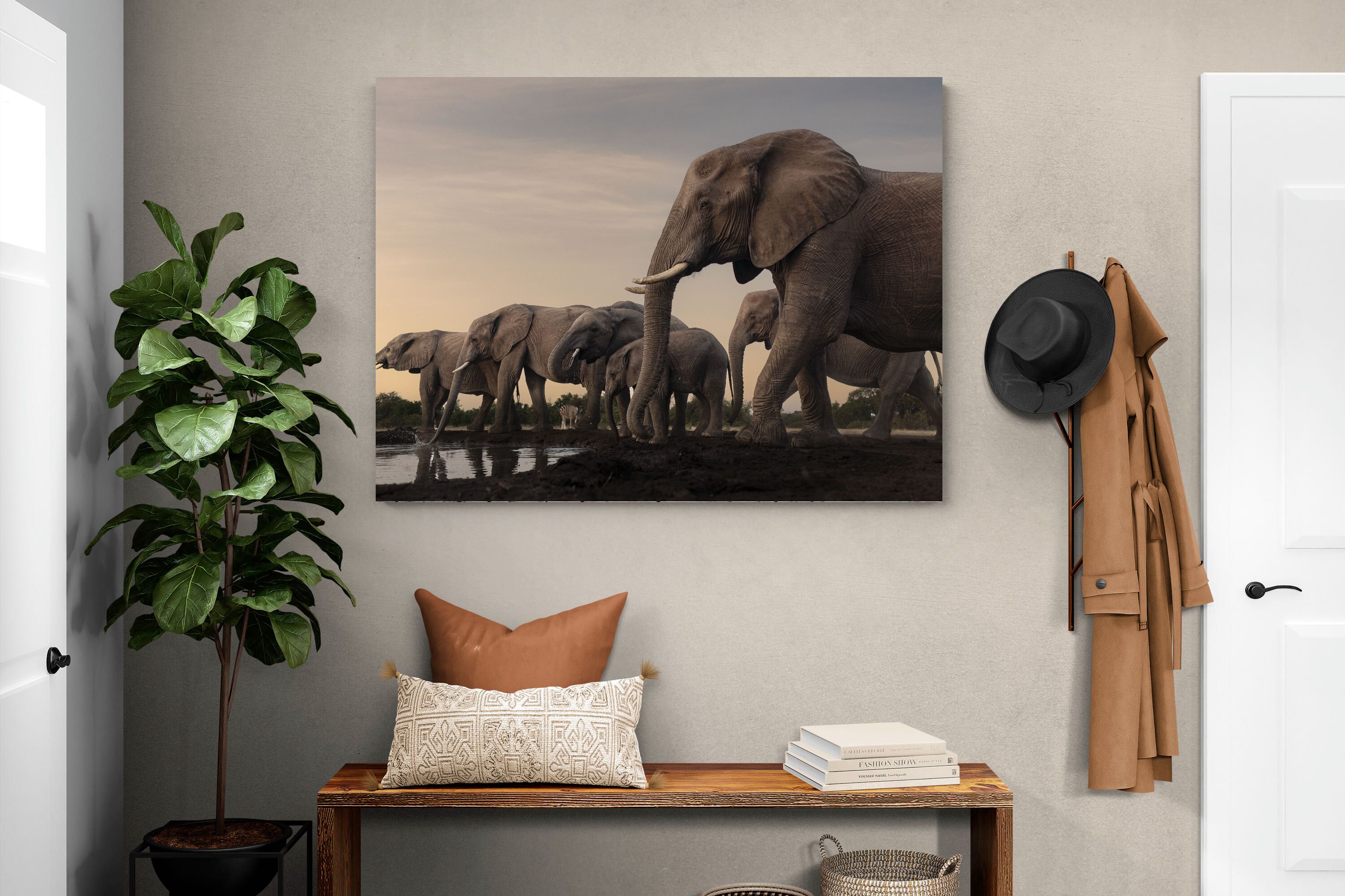 Pixalot Twilight Gathering