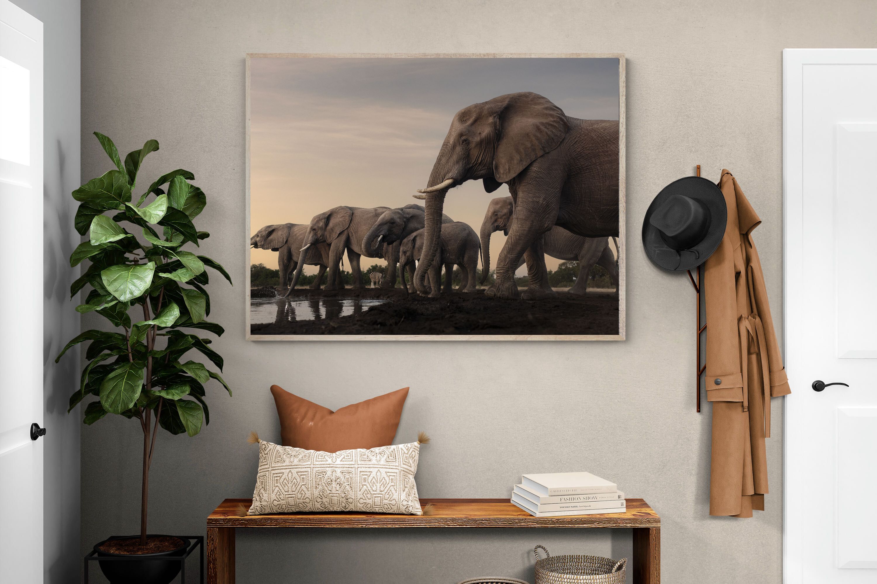 Pixalot Twilight Gathering