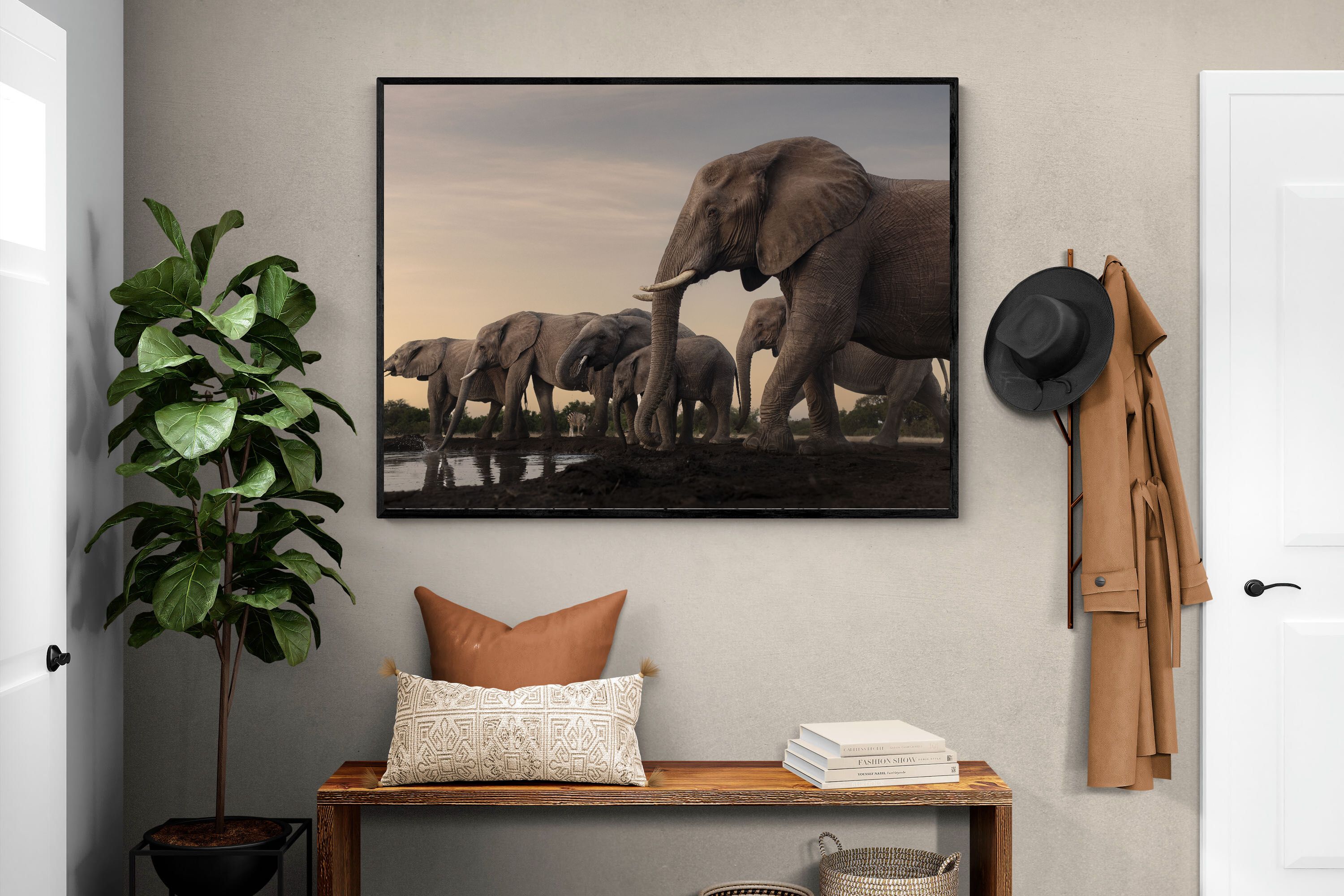 Pixalot Twilight Gathering