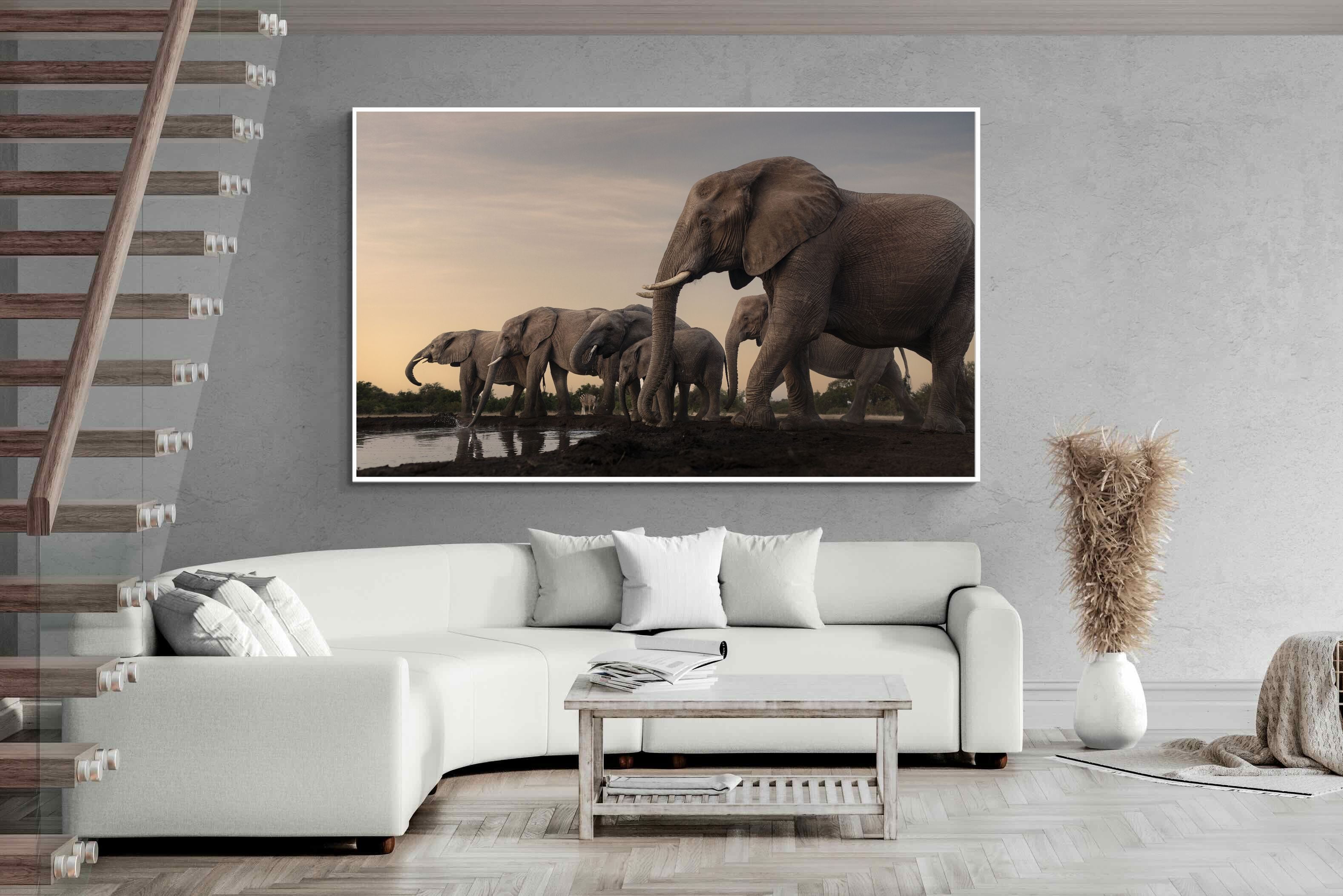 Pixalot Twilight Gathering