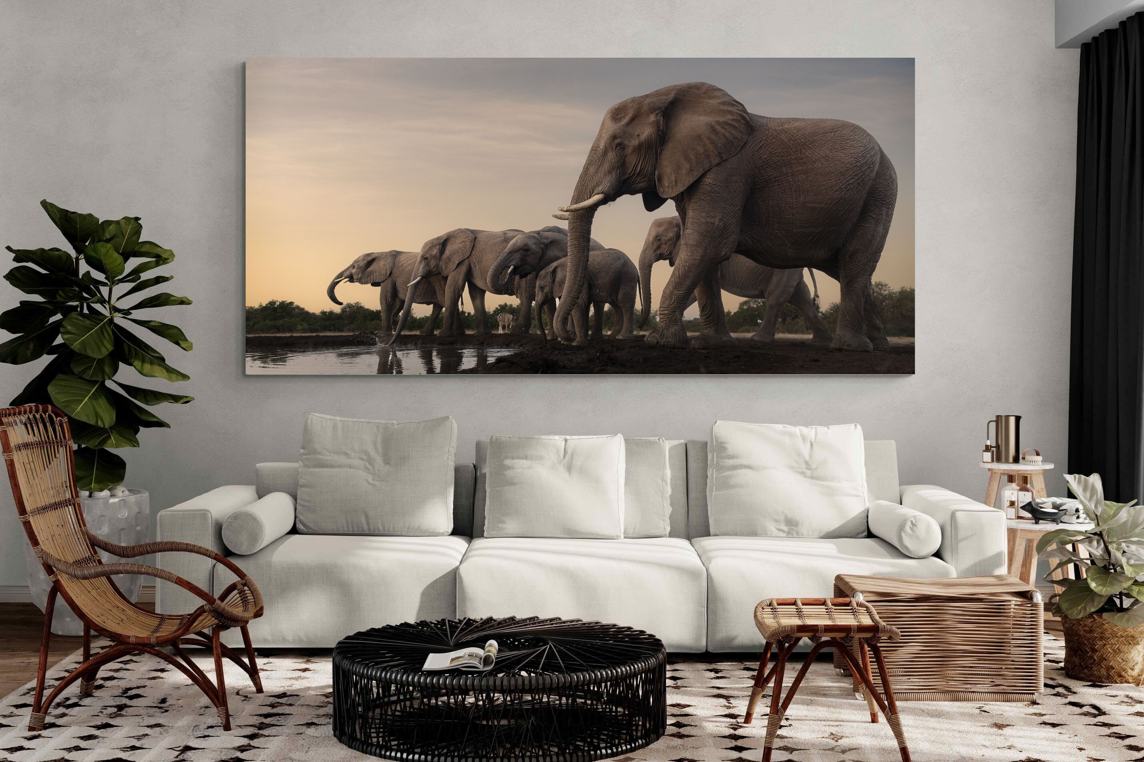 Pixalot Twilight Gathering