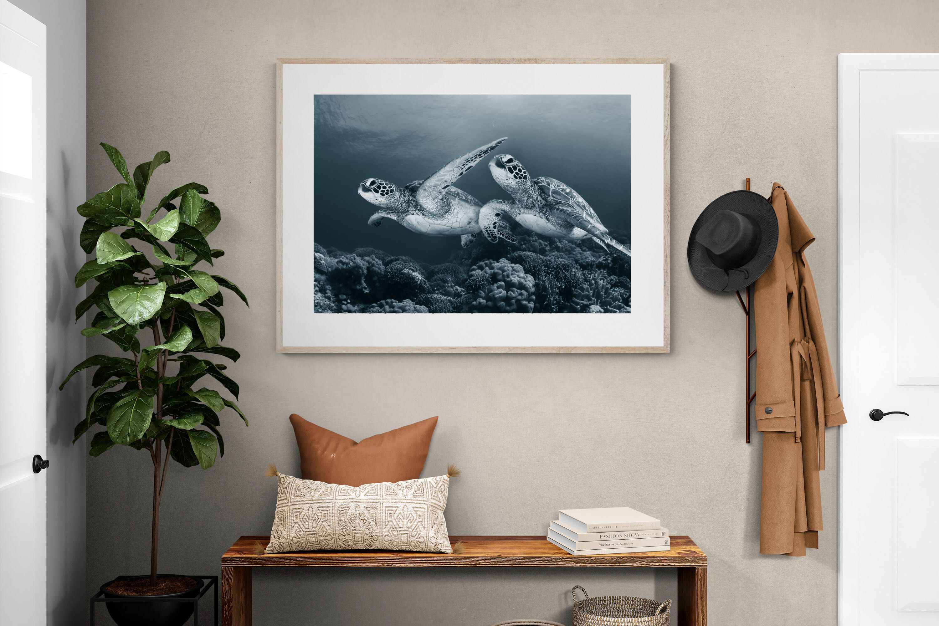 Pixalot Twin Turtles