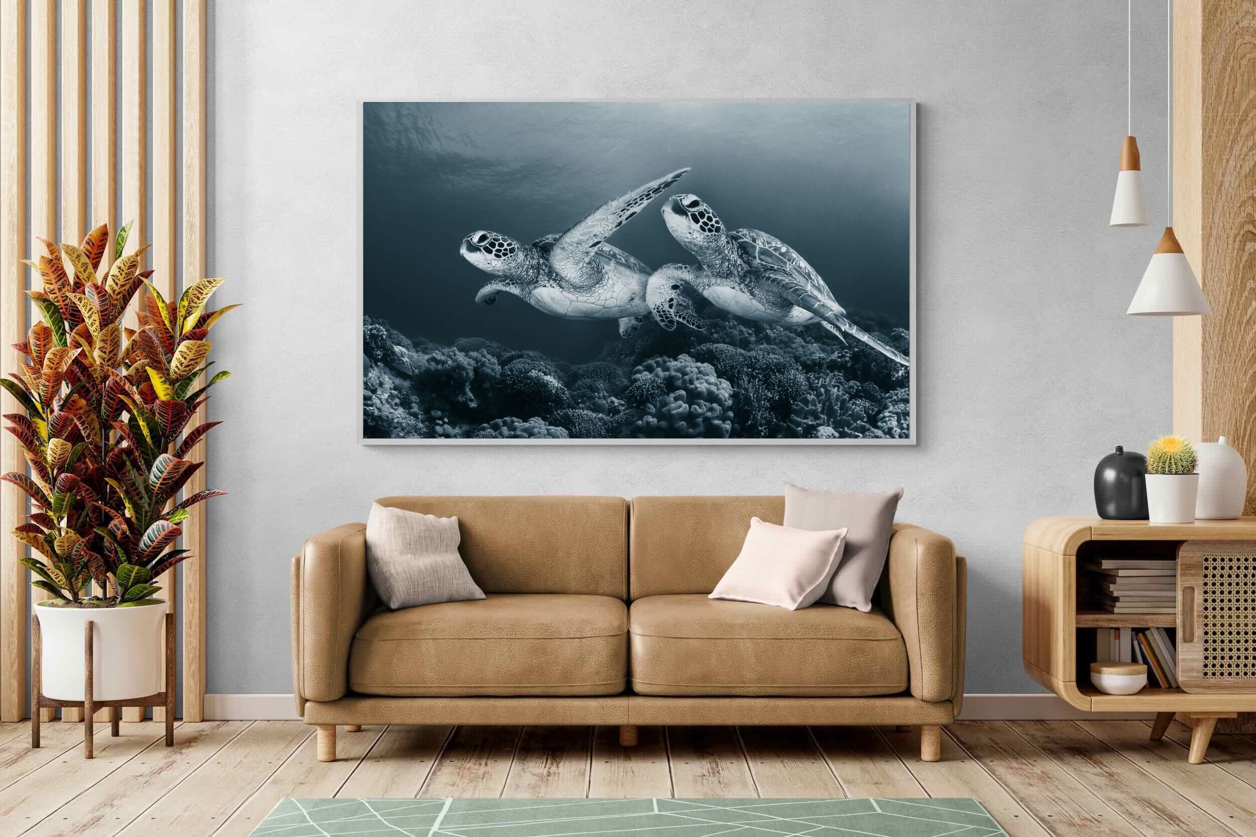 Pixalot Twin Turtles