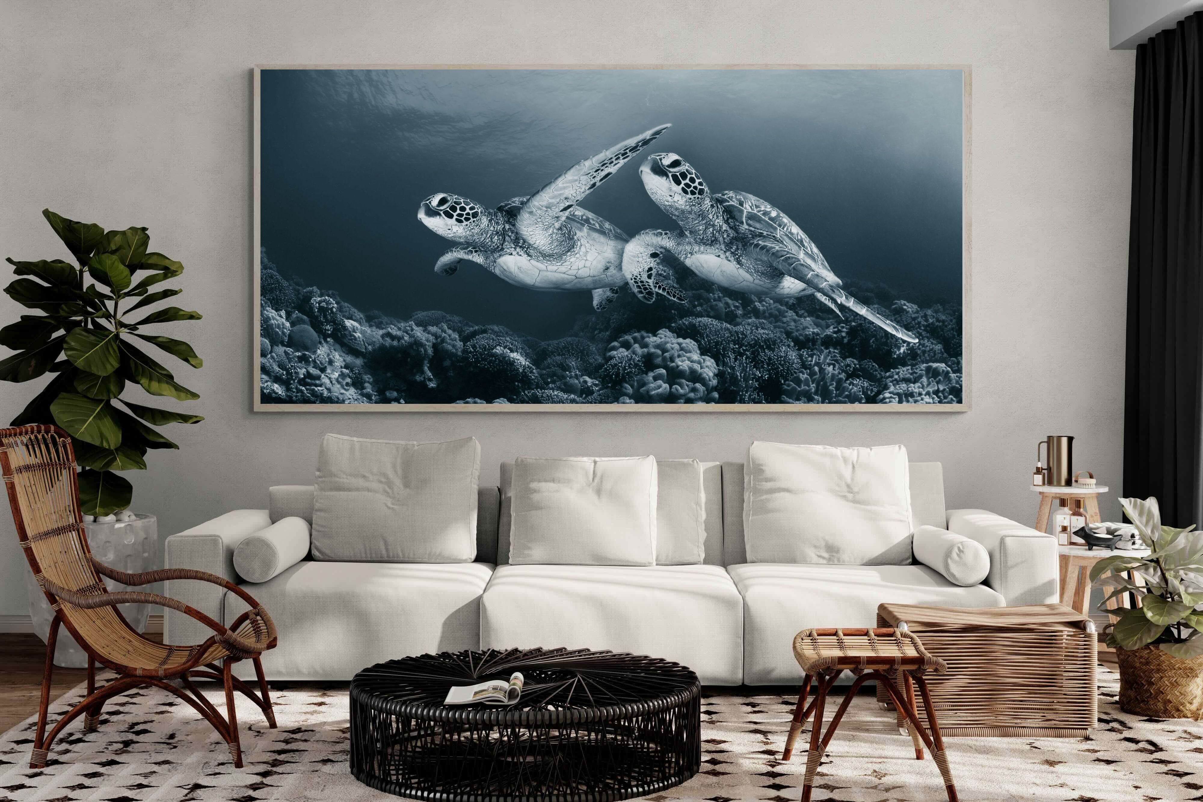 Pixalot Twin Turtles