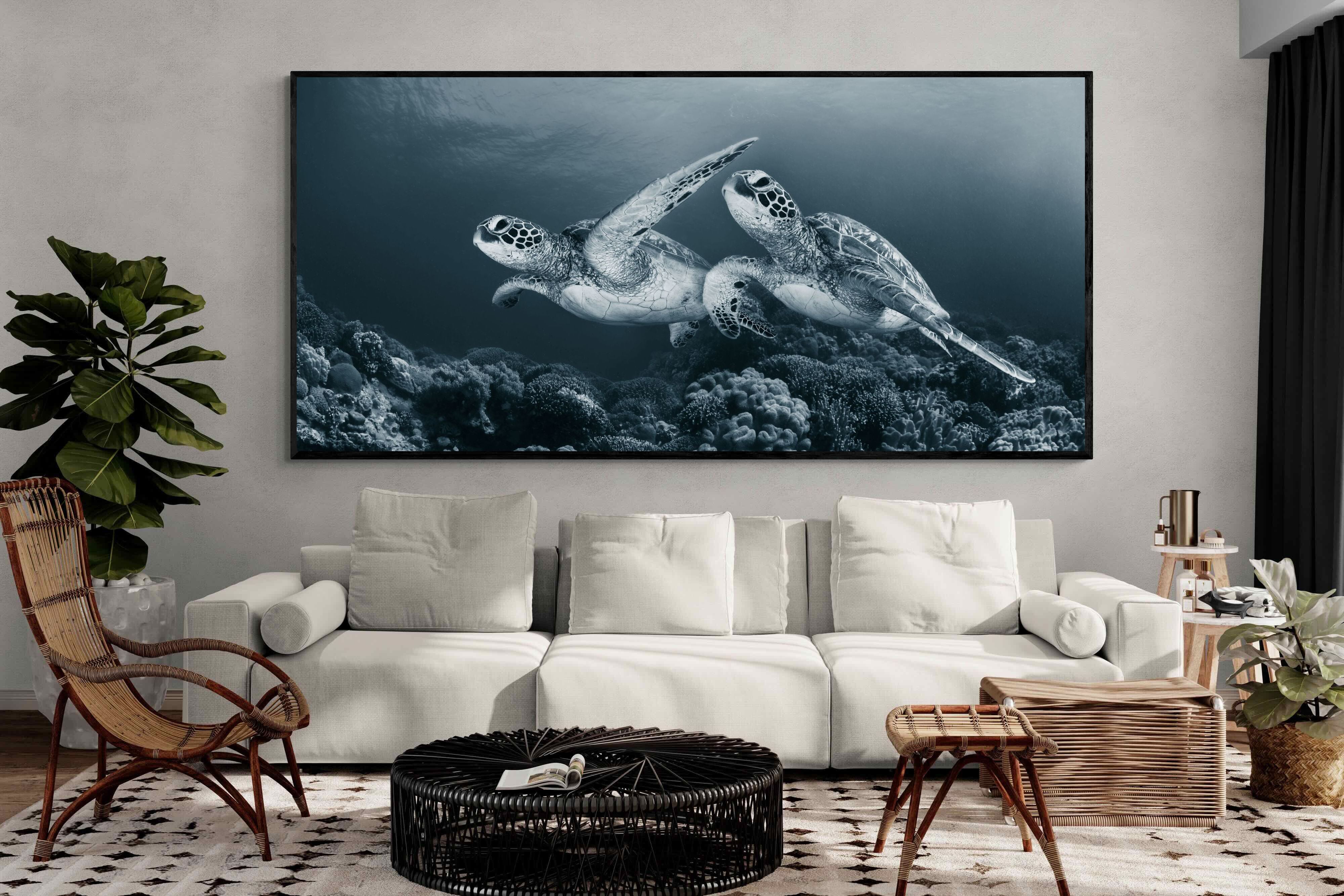 Pixalot Twin Turtles