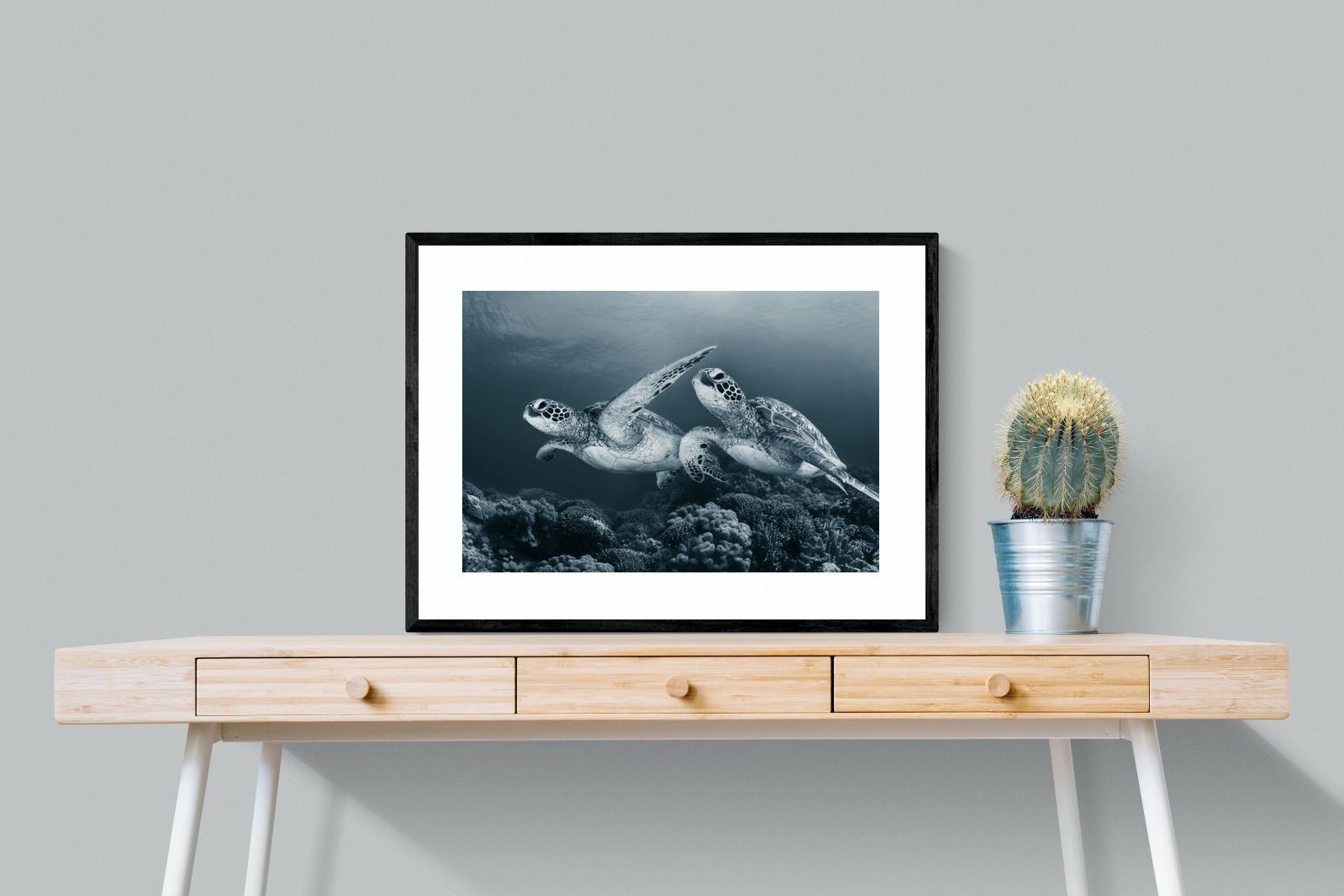 Pixalot Twin Turtles