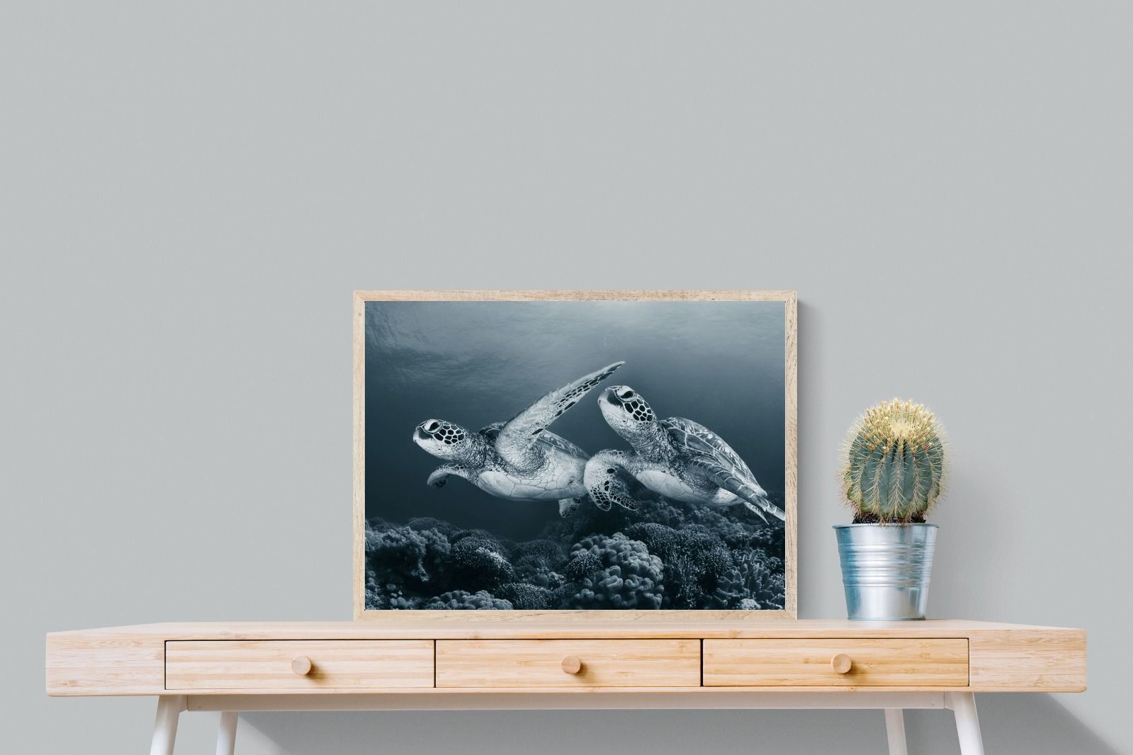 Pixalot Twin Turtles