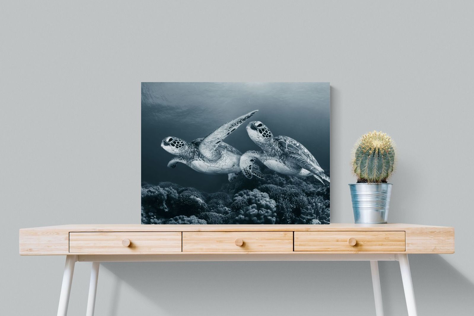 Pixalot Twin Turtles