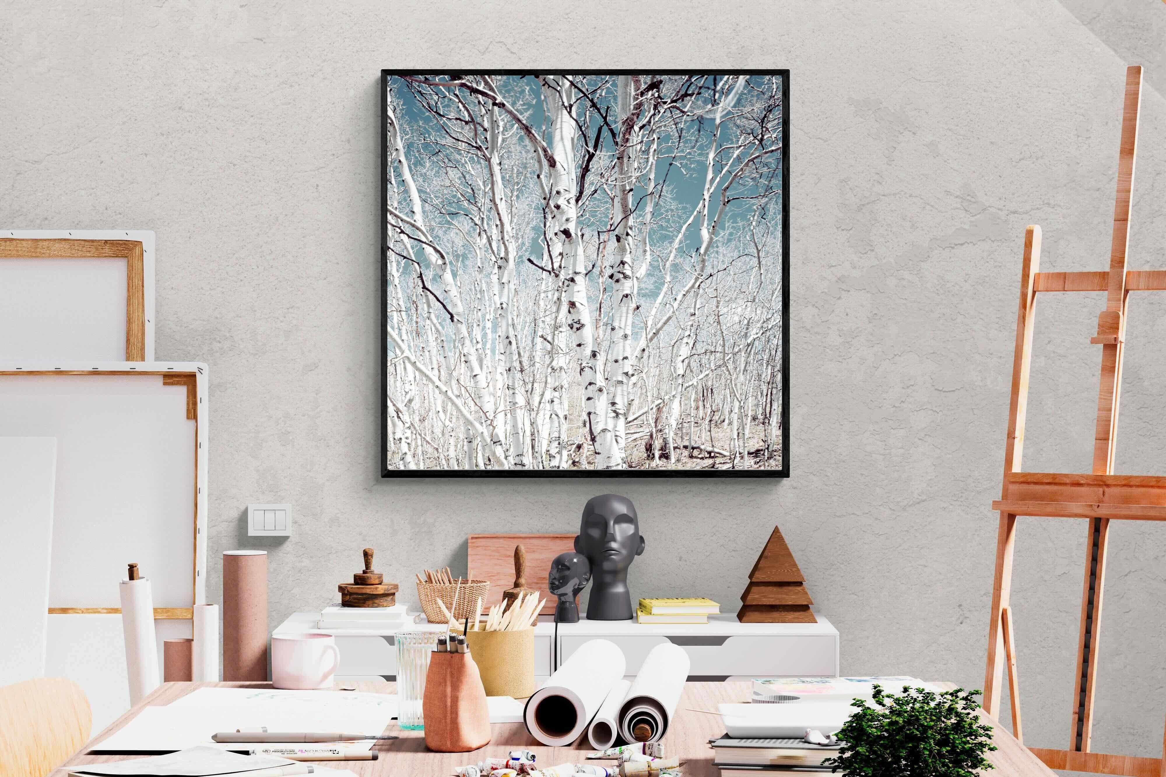 Pixalot Utah Birch Trees