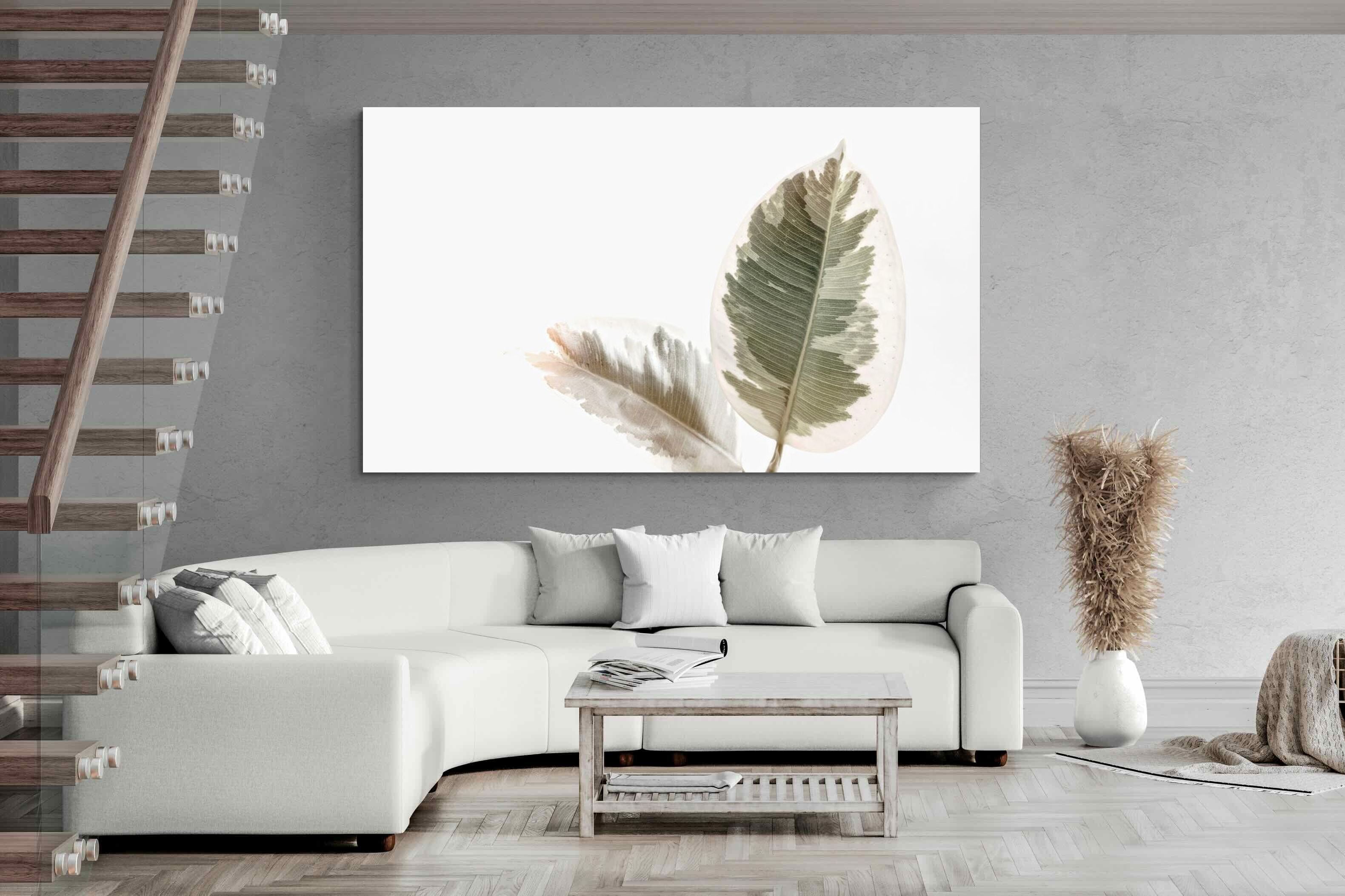 Pixalot Variegated Leaves