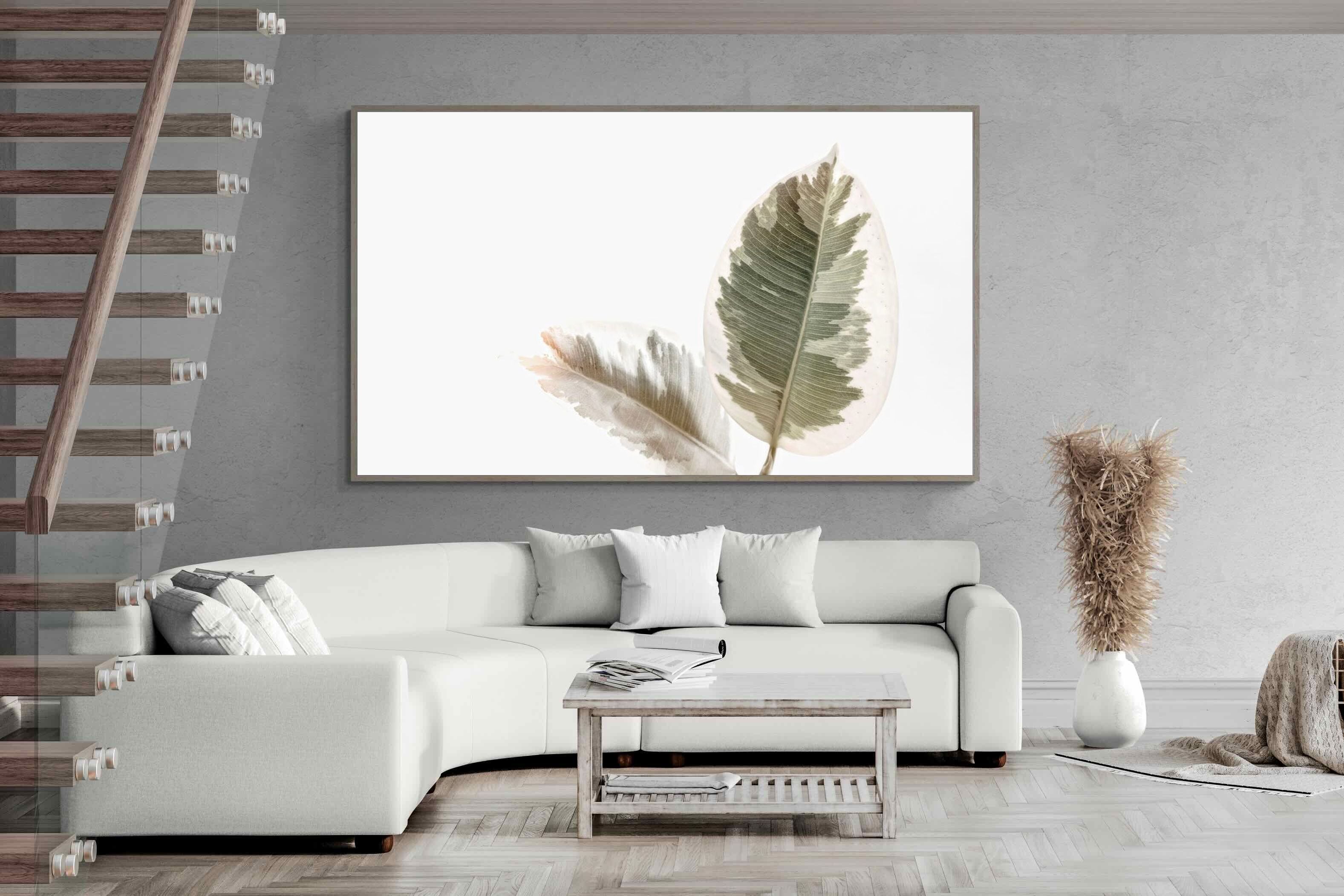 Pixalot Variegated Leaves