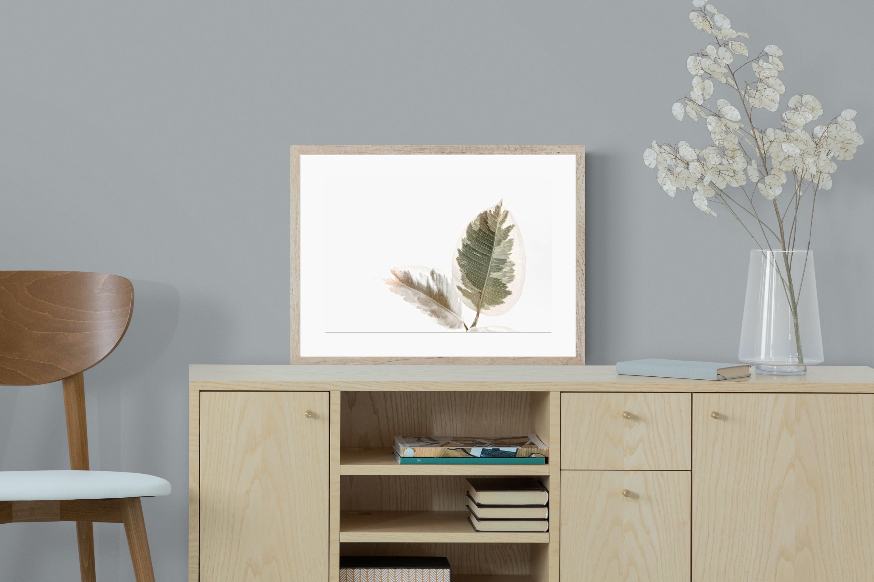 Pixalot Variegated Leaves