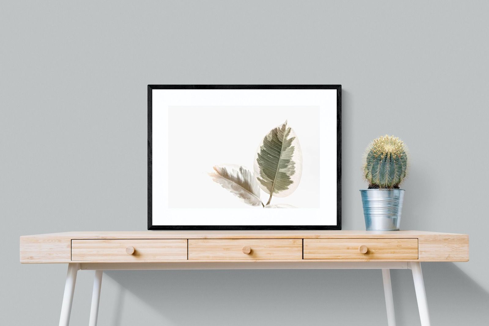 Pixalot Variegated Leaves