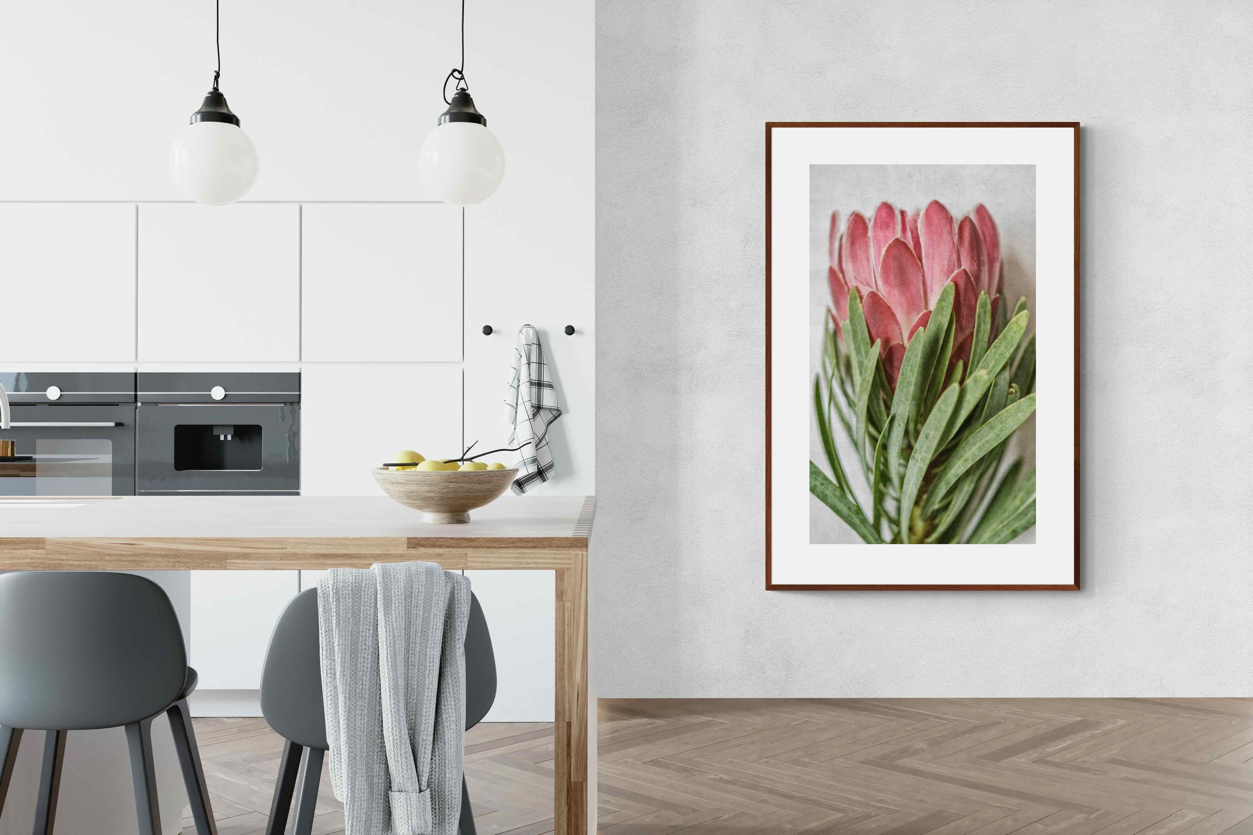 Pixalot Venus Protea