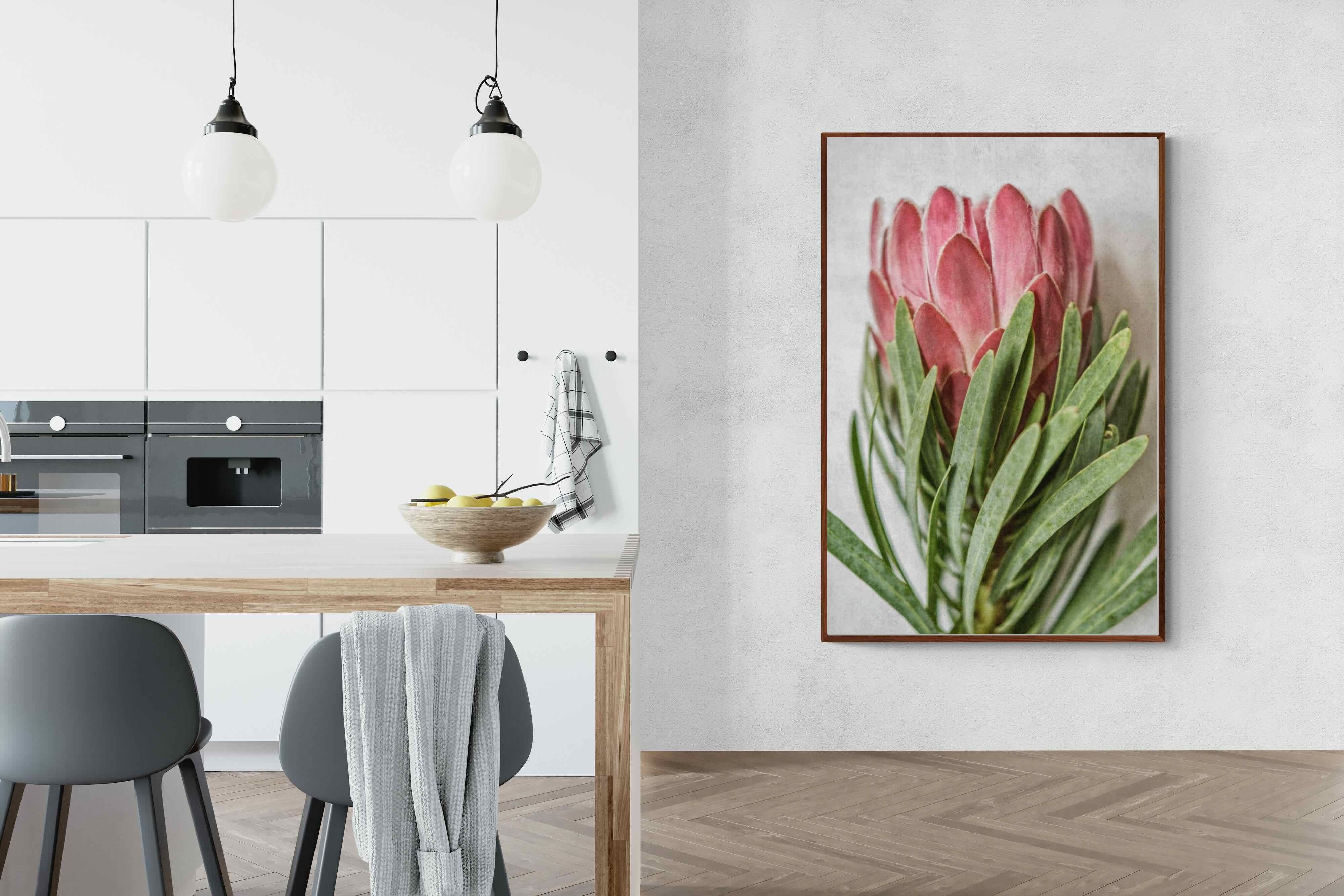 Pixalot Venus Protea