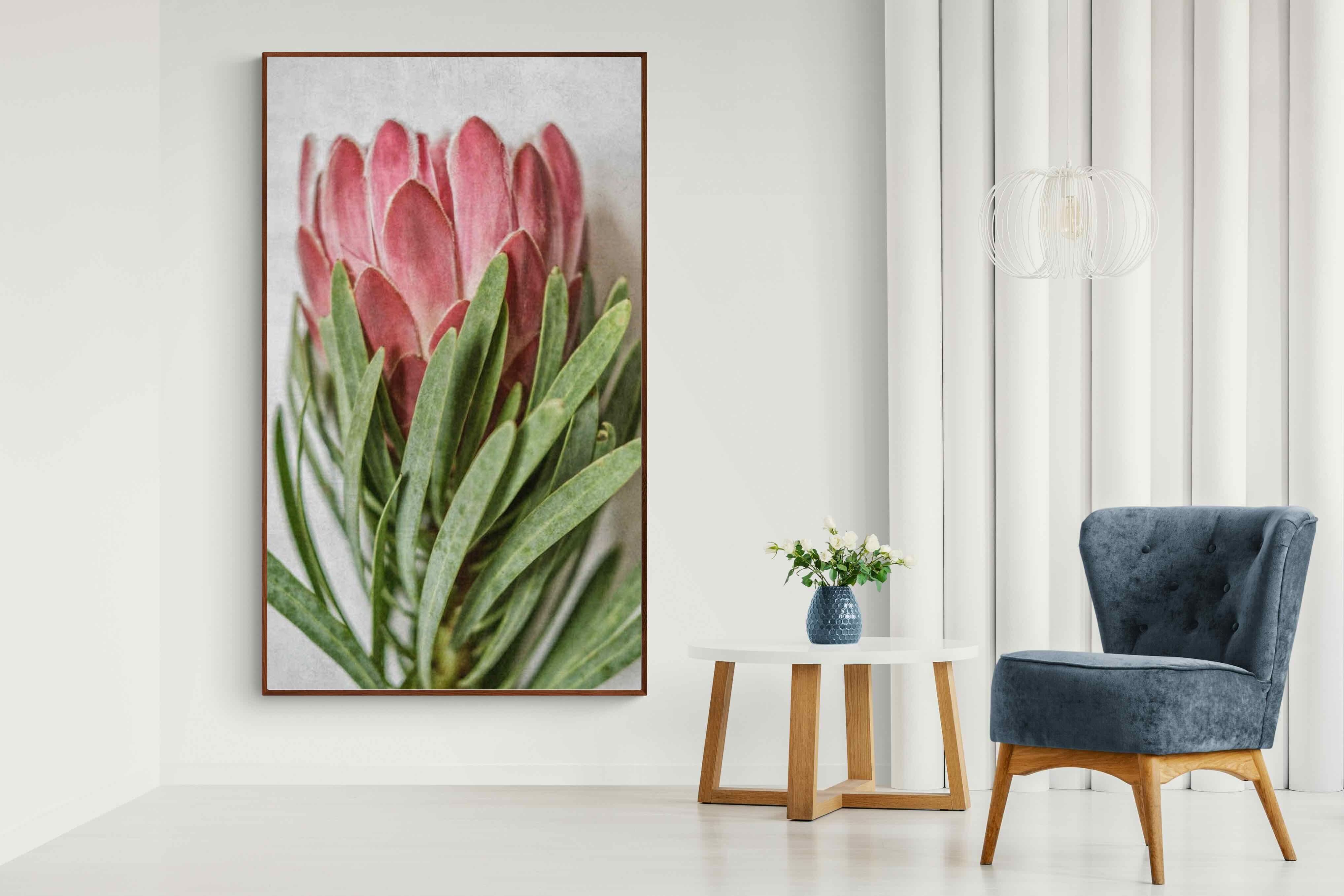 Pixalot Venus Protea