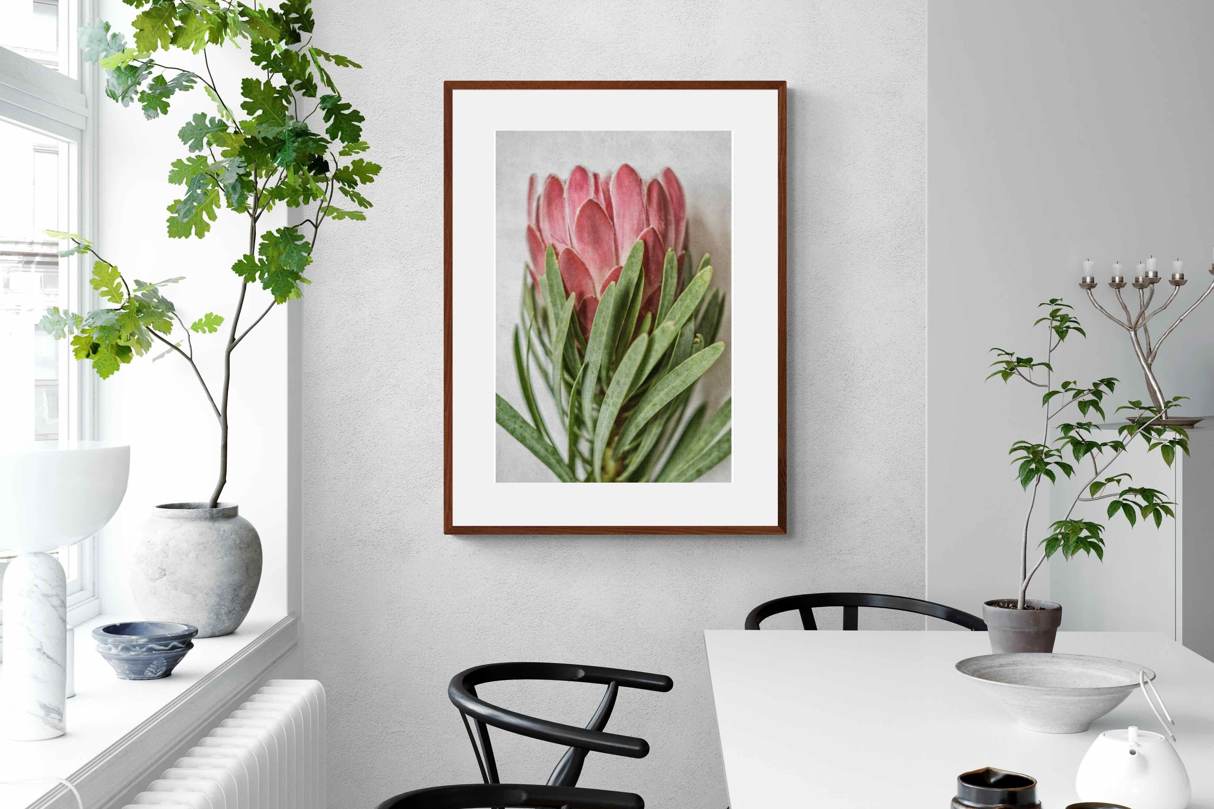 Pixalot Venus Protea