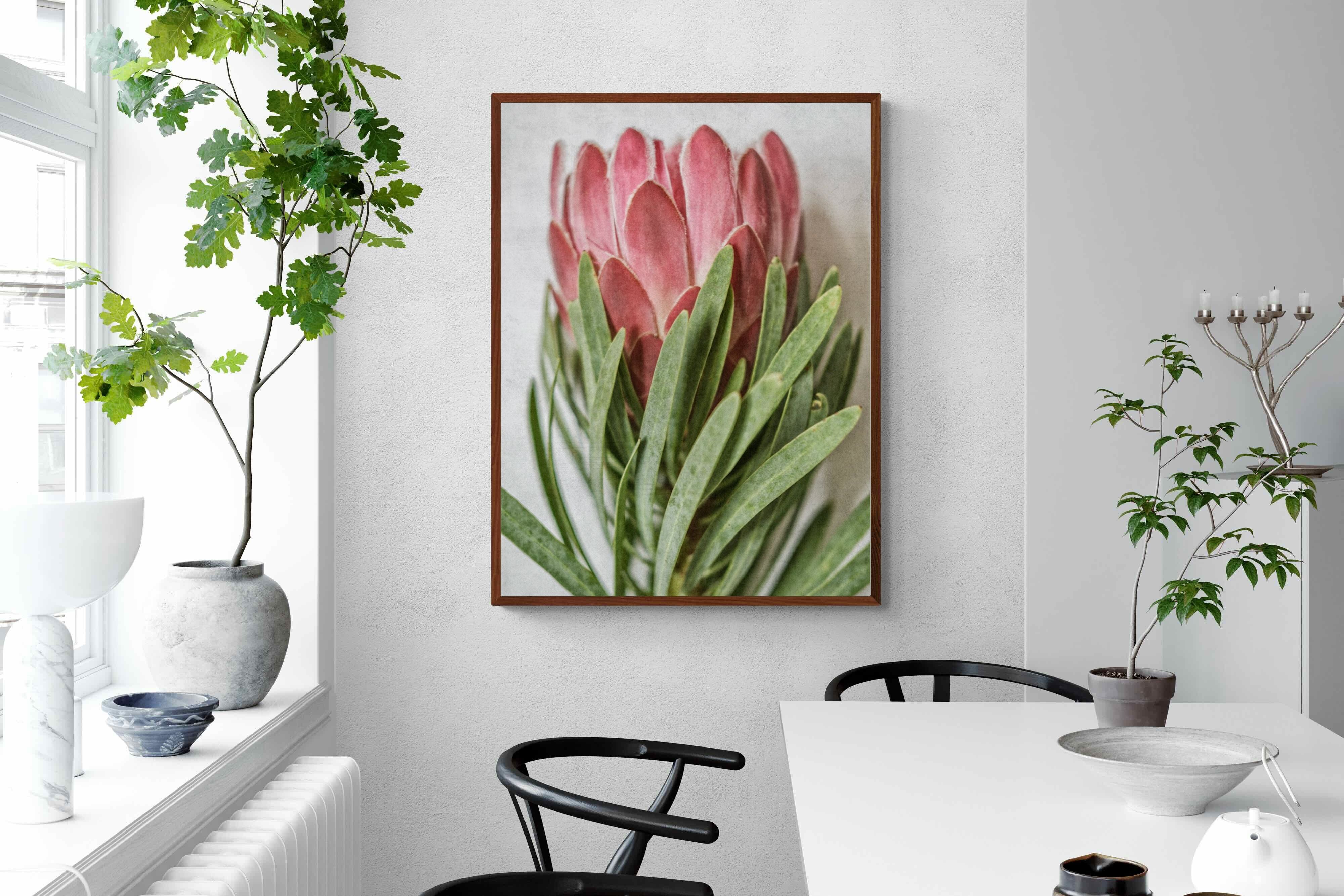 Pixalot Venus Protea