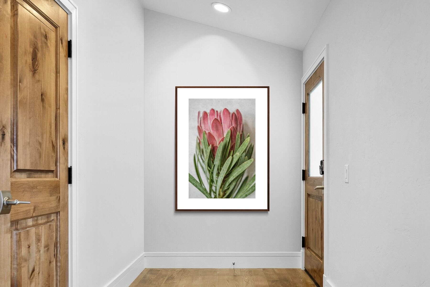 Pixalot Venus Protea