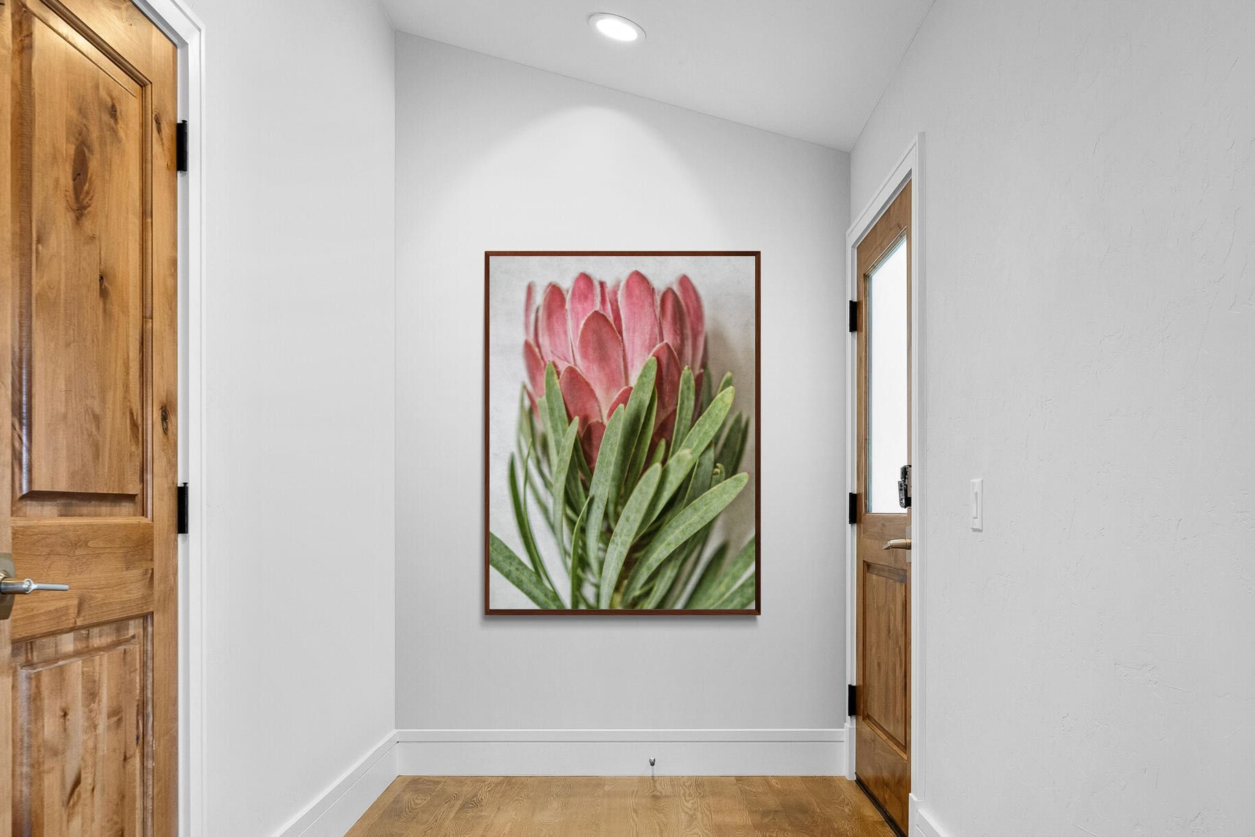 Pixalot Venus Protea