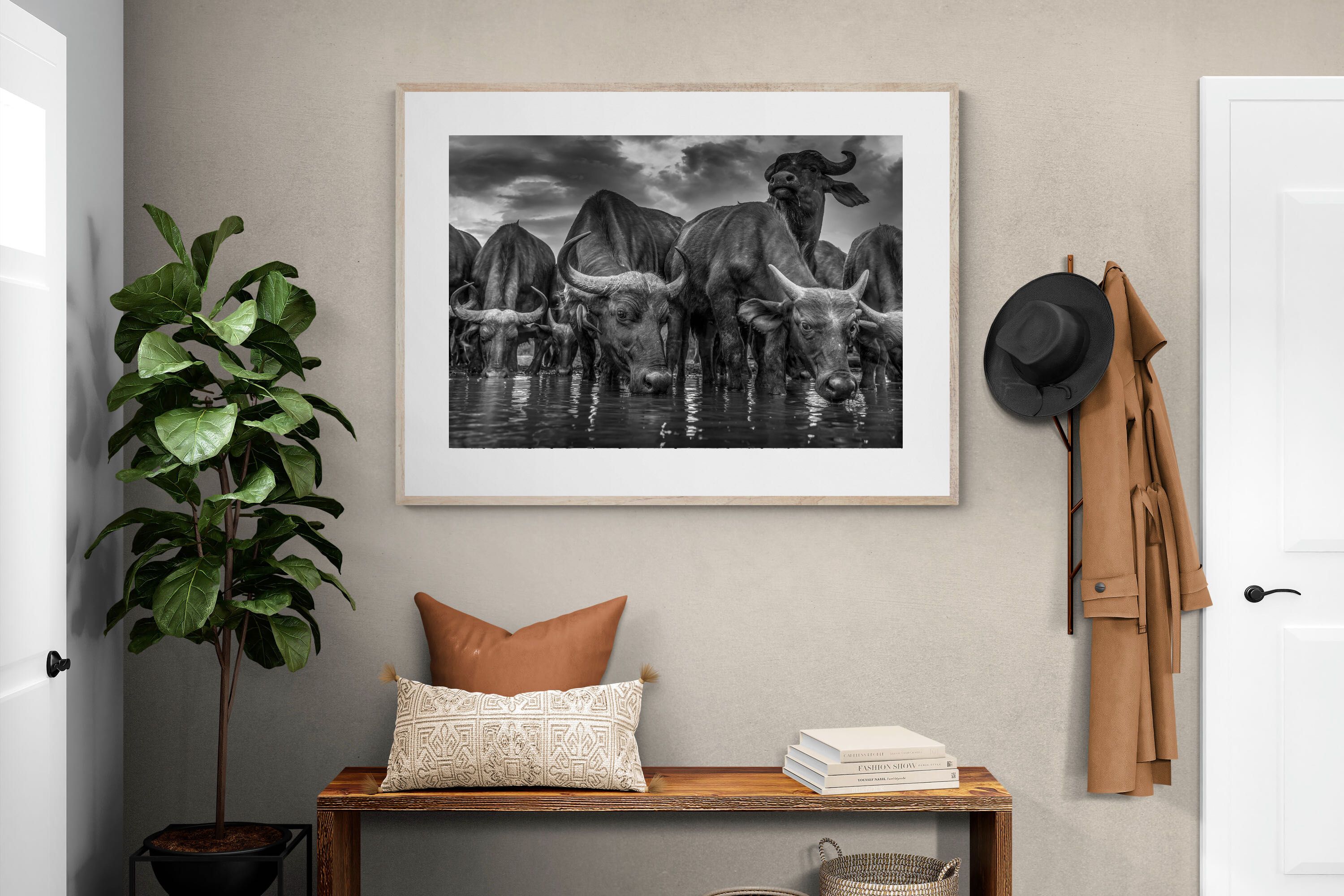 Pixalot Vigilant Herd