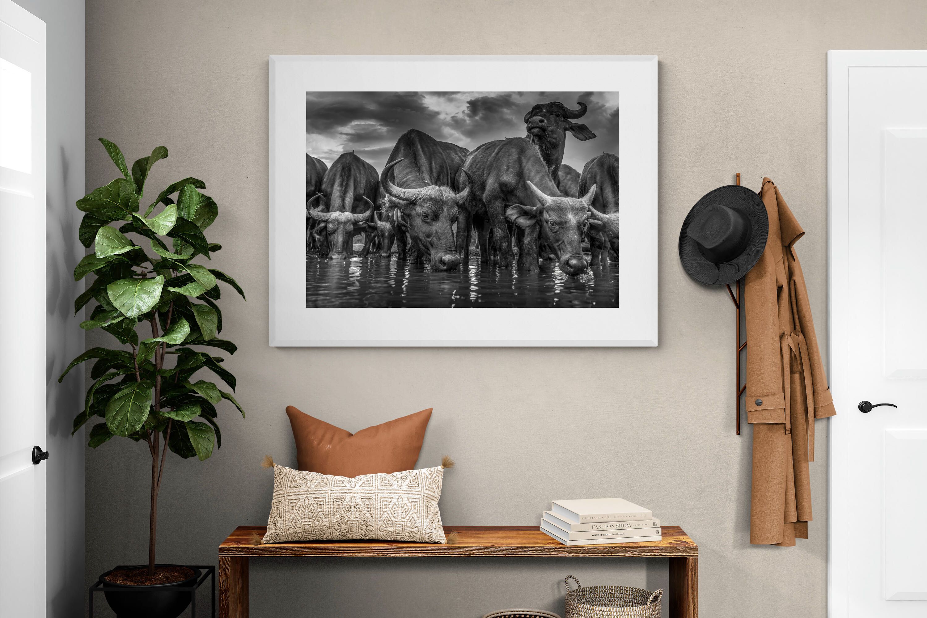 Pixalot Vigilant Herd