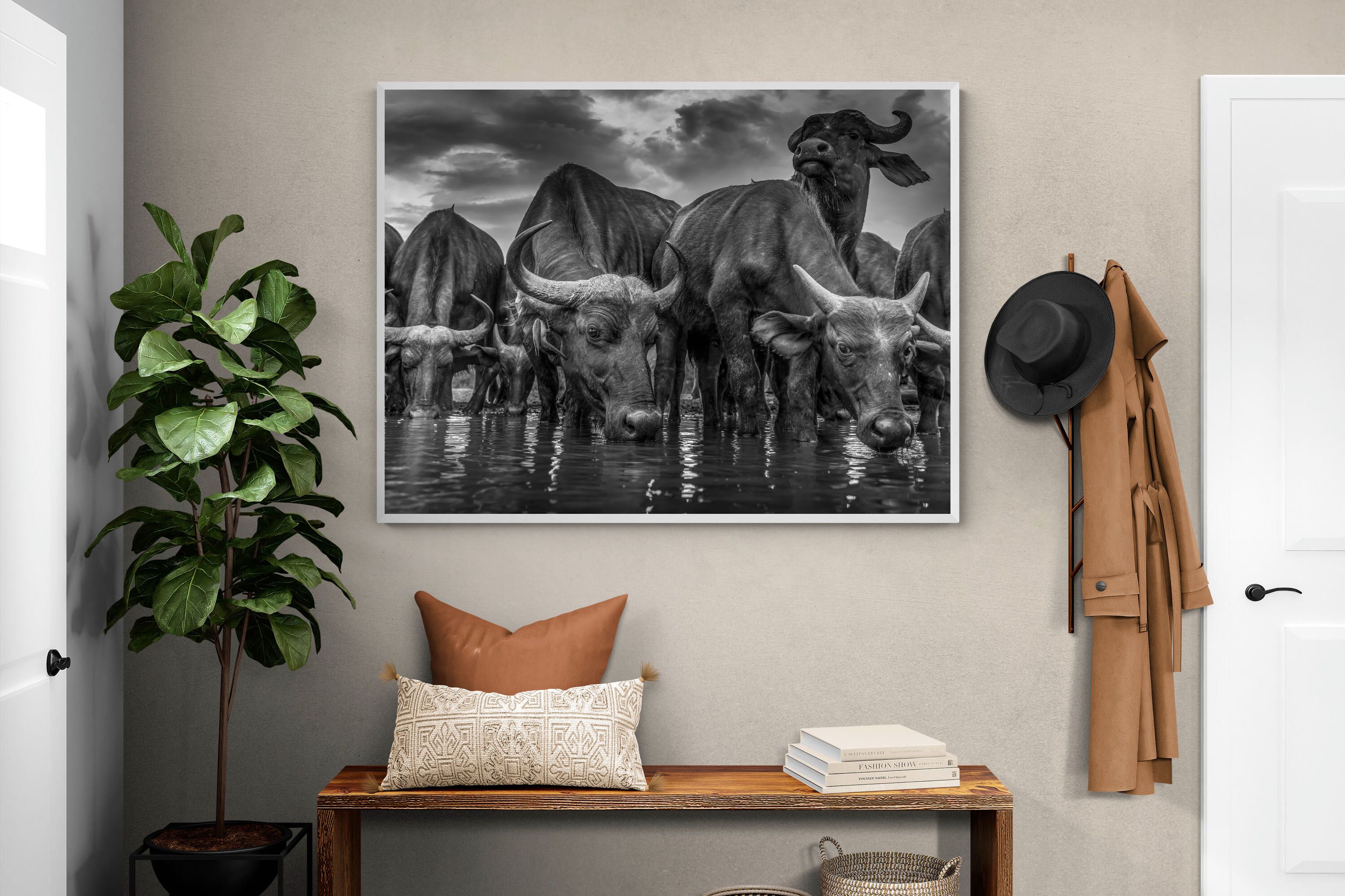 Pixalot Vigilant Herd