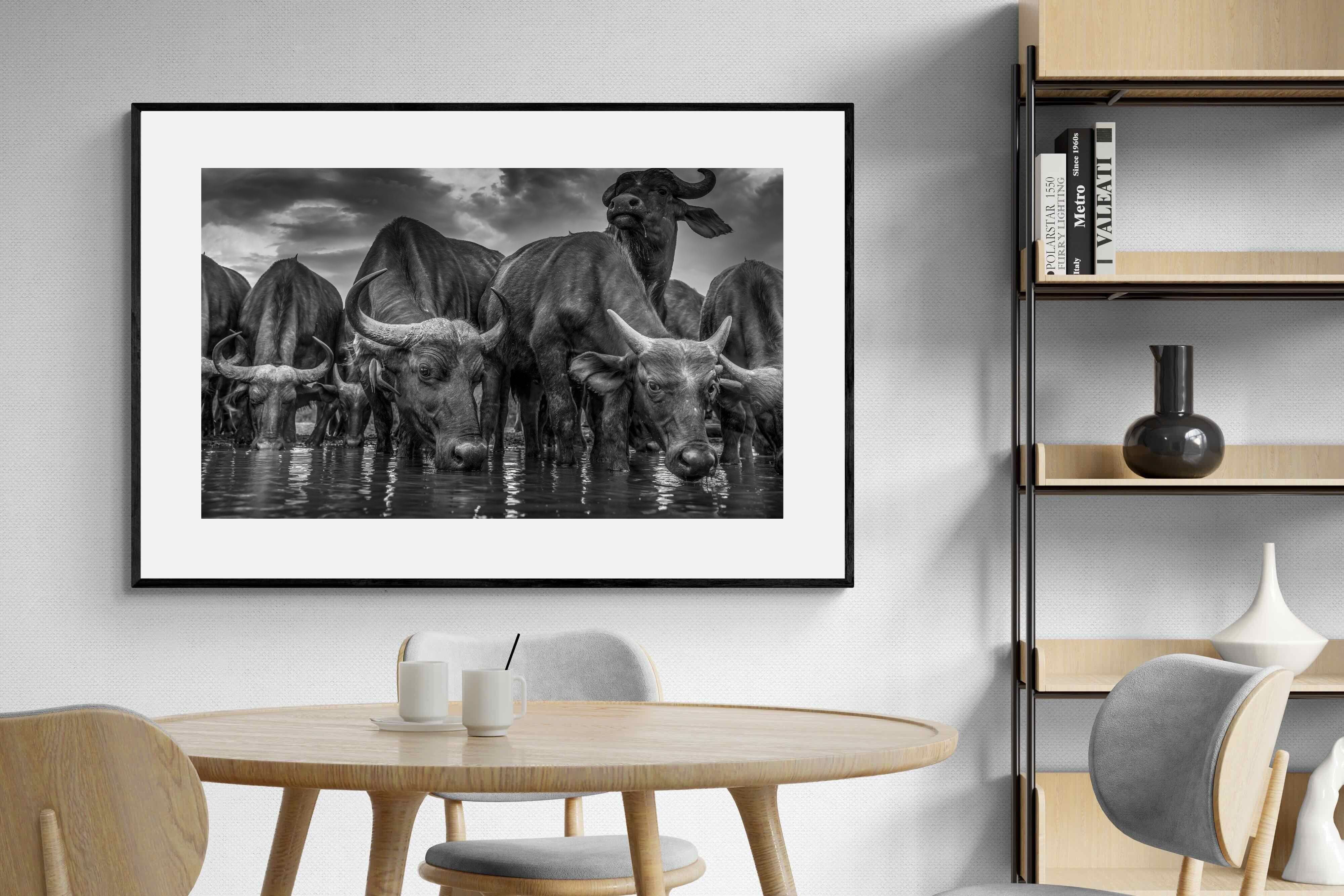 Pixalot Vigilant Herd