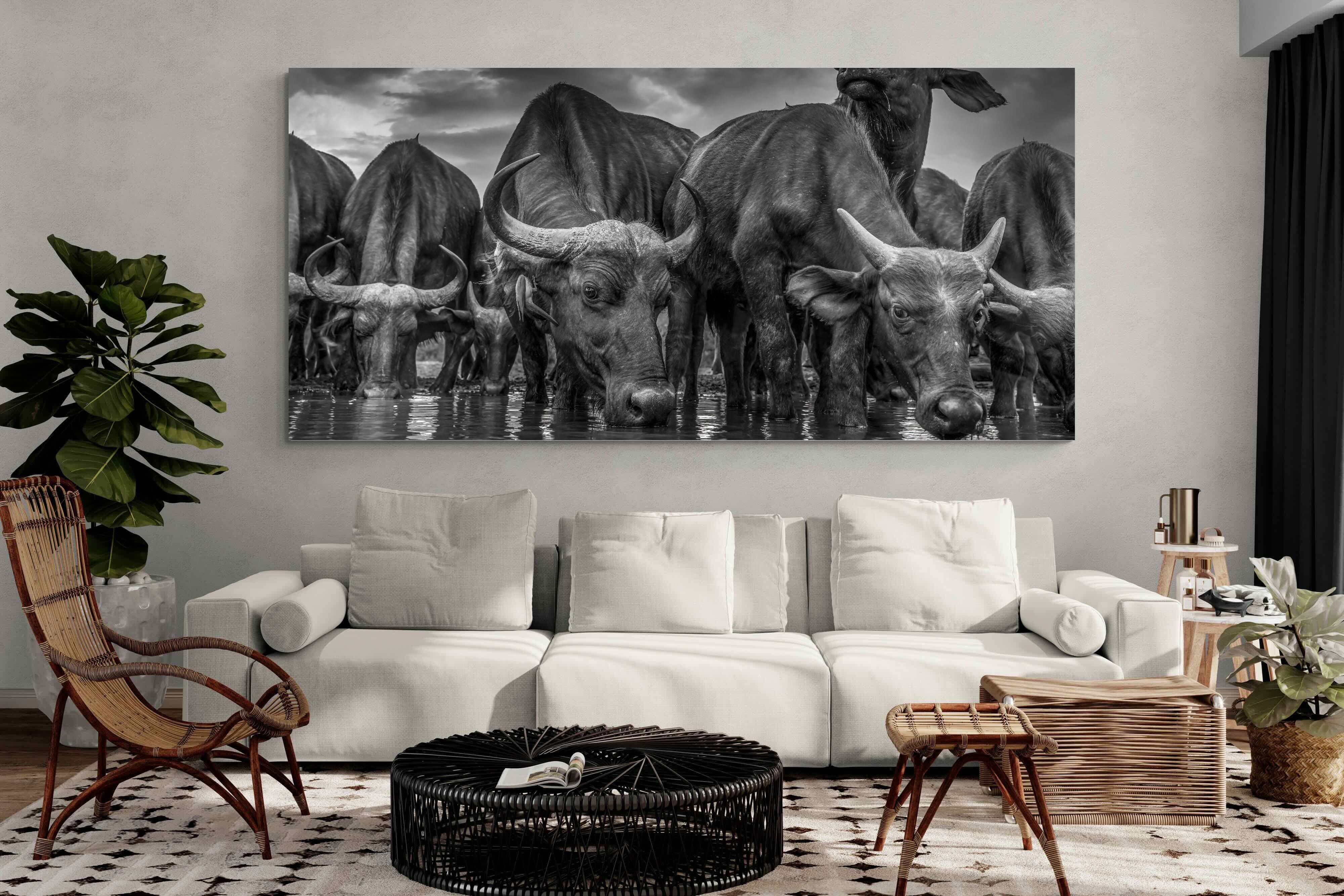 Pixalot Vigilant Herd