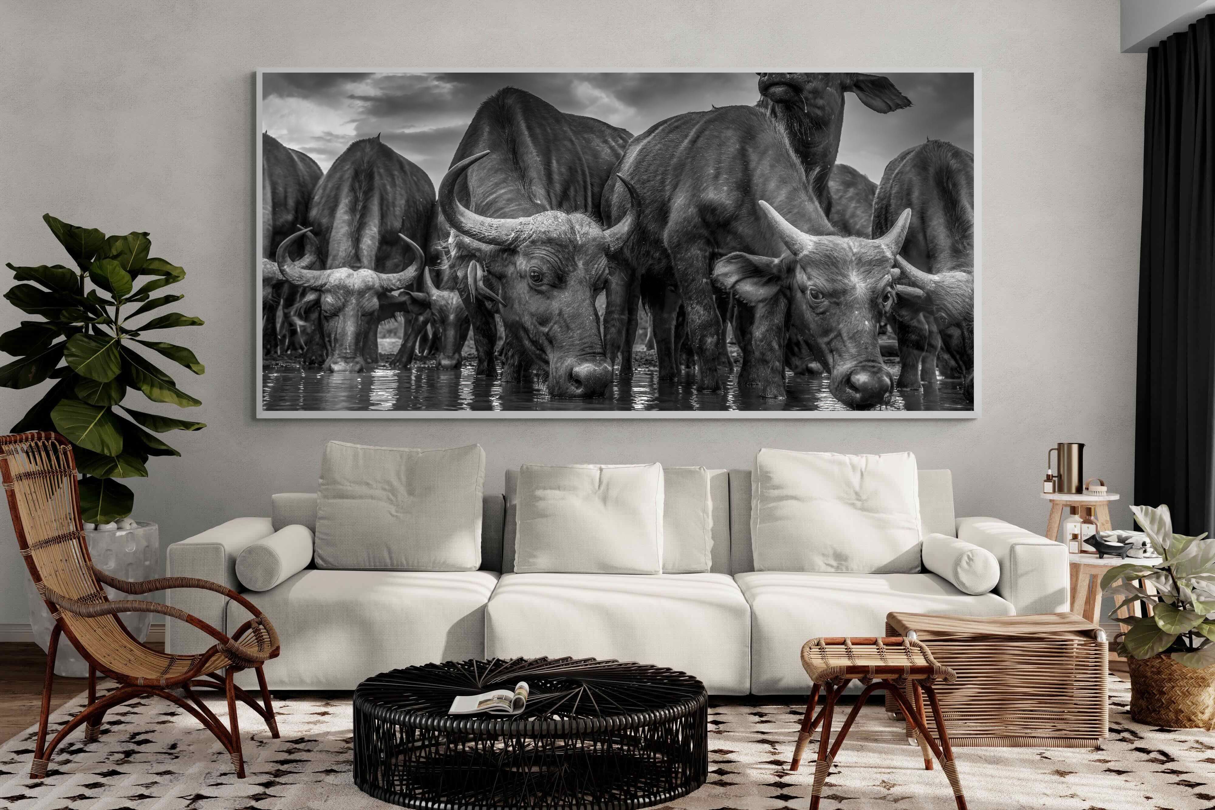 Pixalot Vigilant Herd