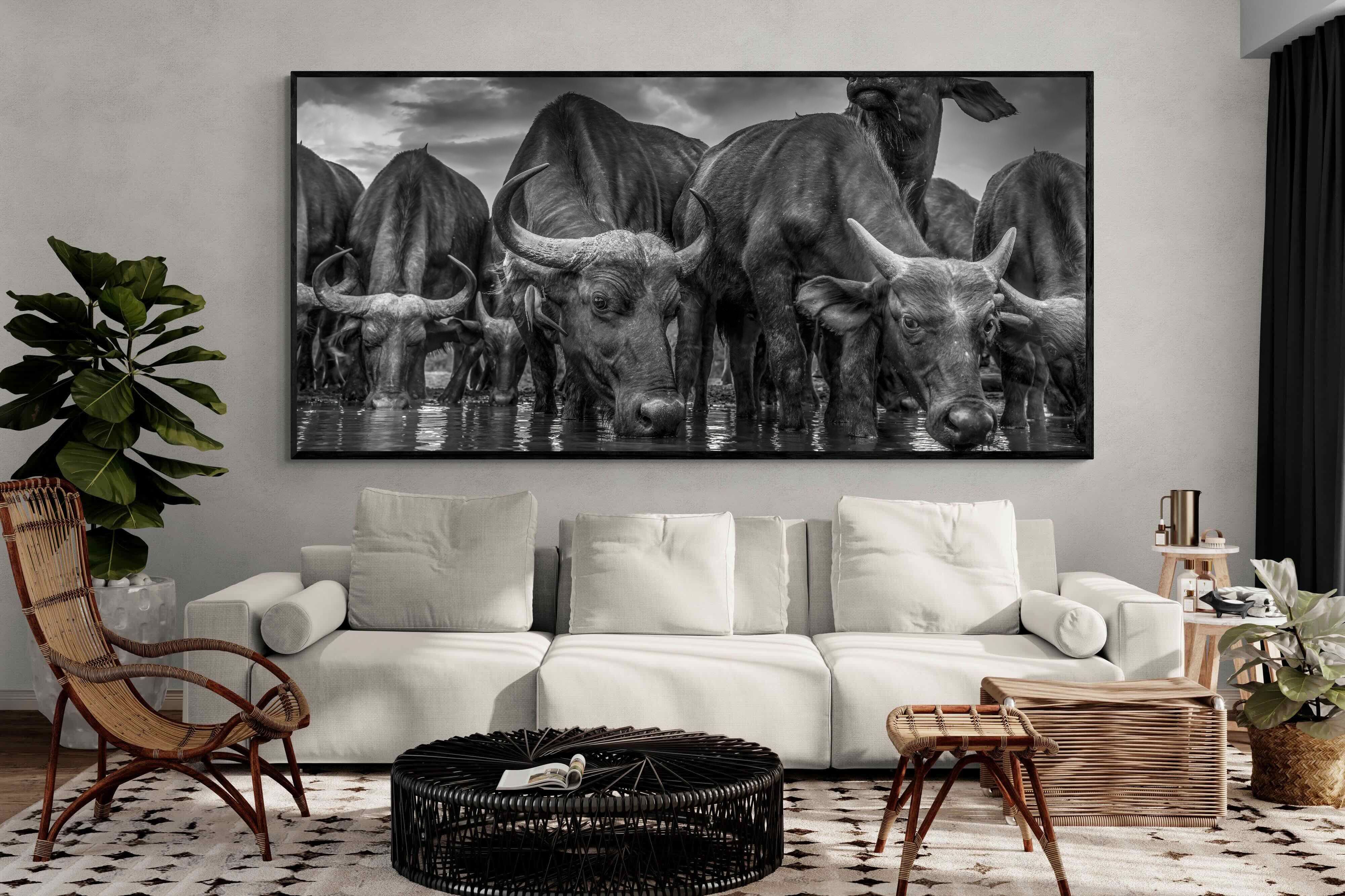 Pixalot Vigilant Herd