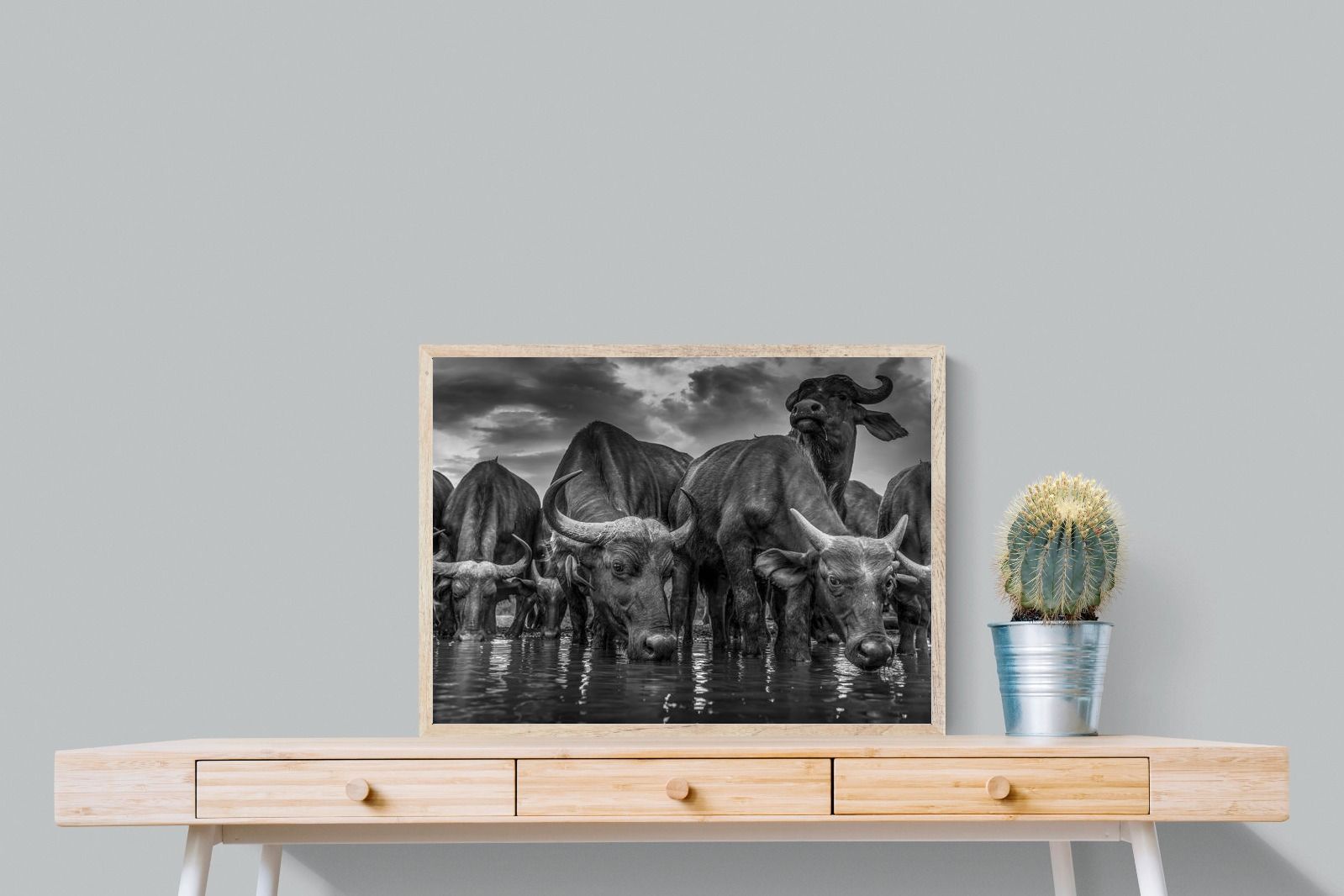 Pixalot Vigilant Herd