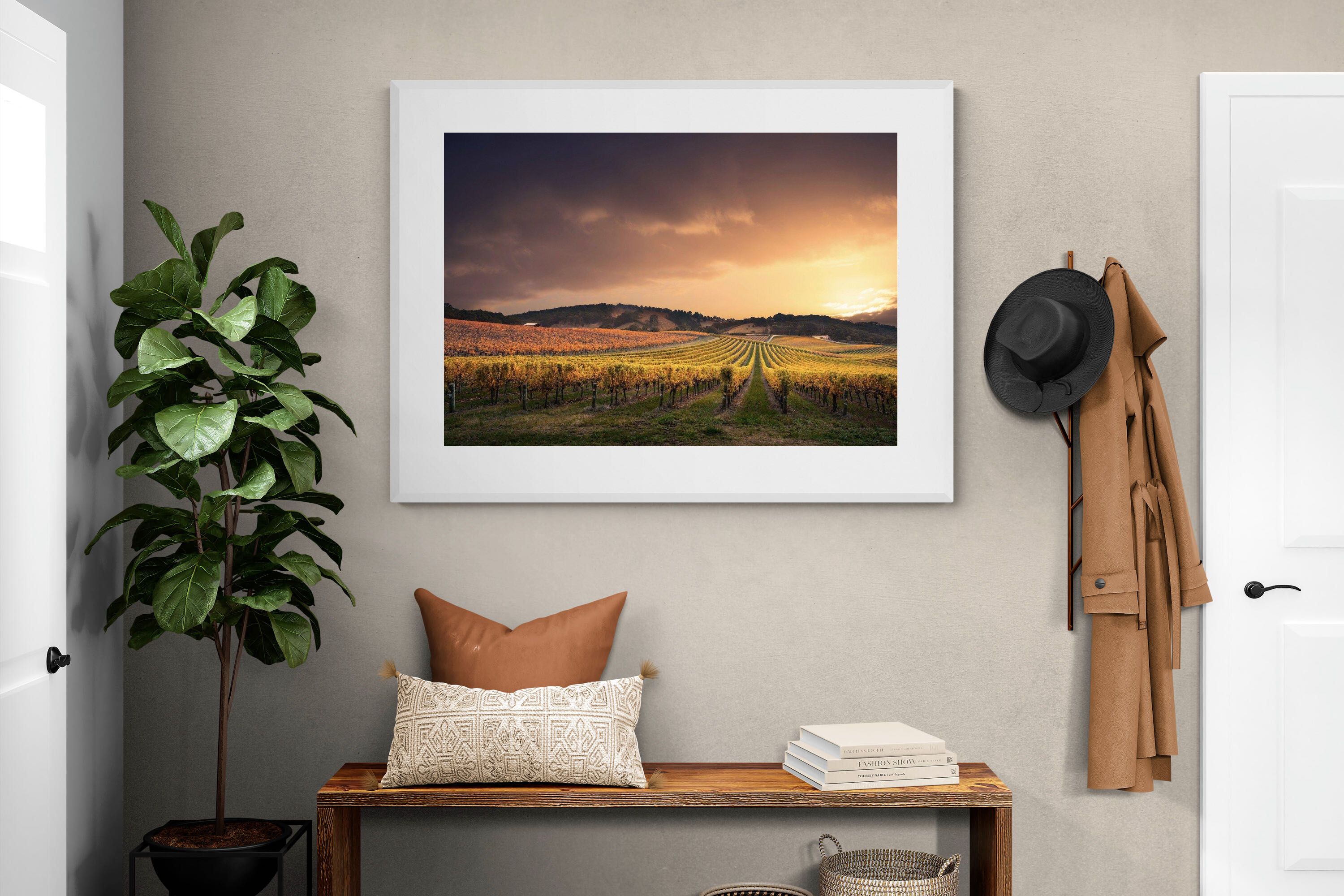 Pixalot ® Vineyards