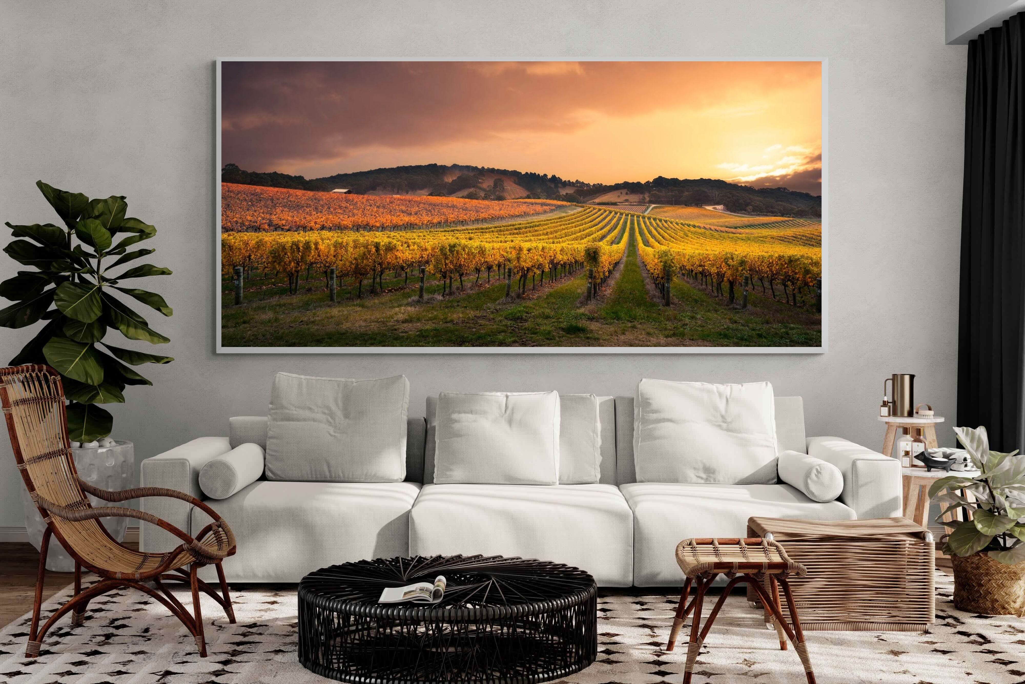 Pixalot ® Vineyards
