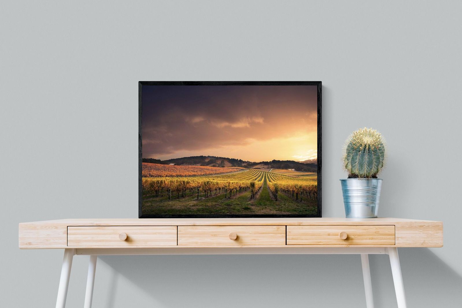 Pixalot ® Vineyards