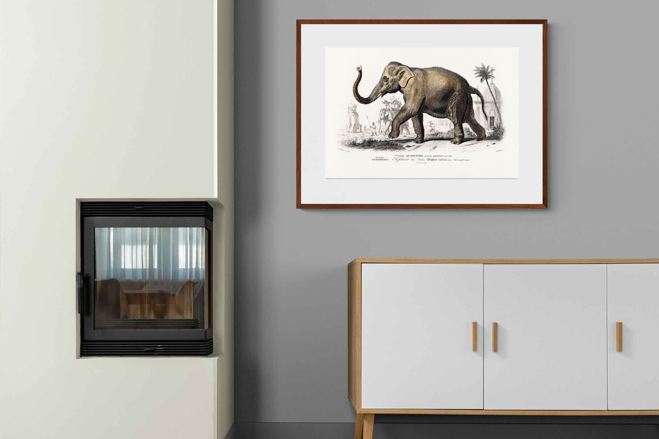 Pixalot ® Vintage Elephant Illustration