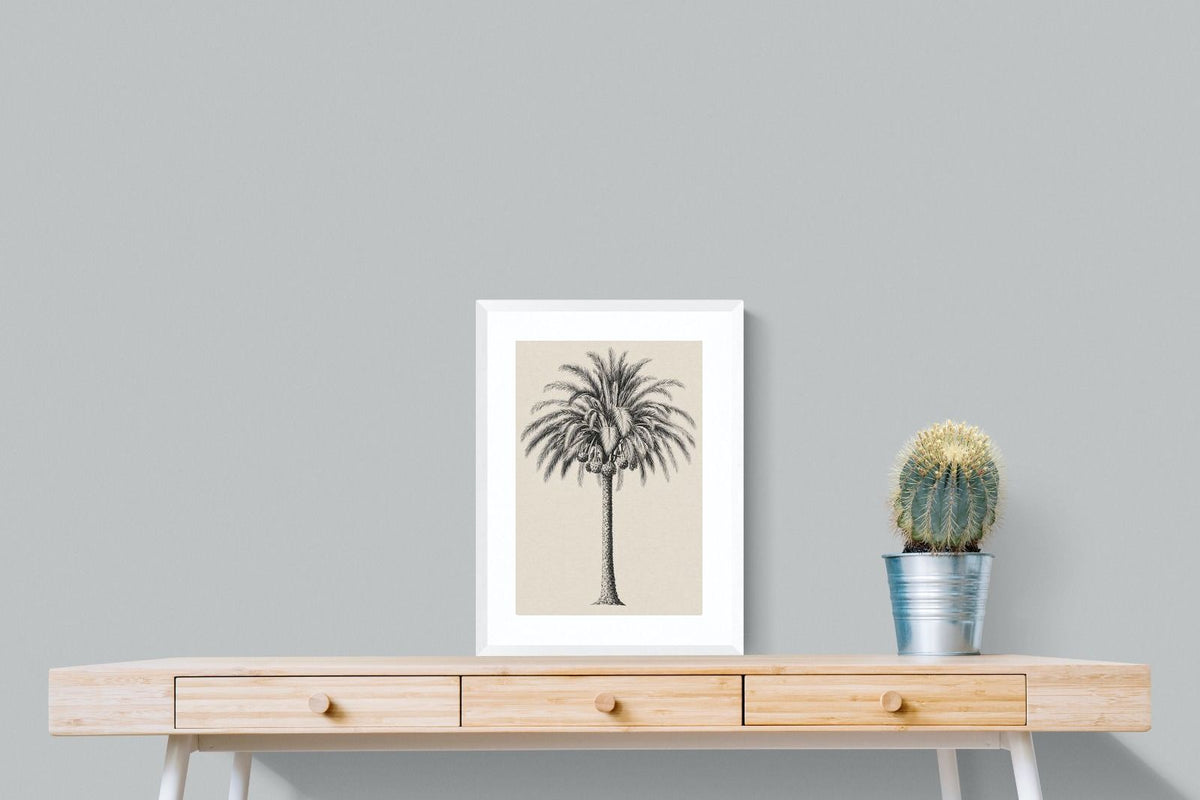 Pixalot ® Vintage Island Palm Illustration