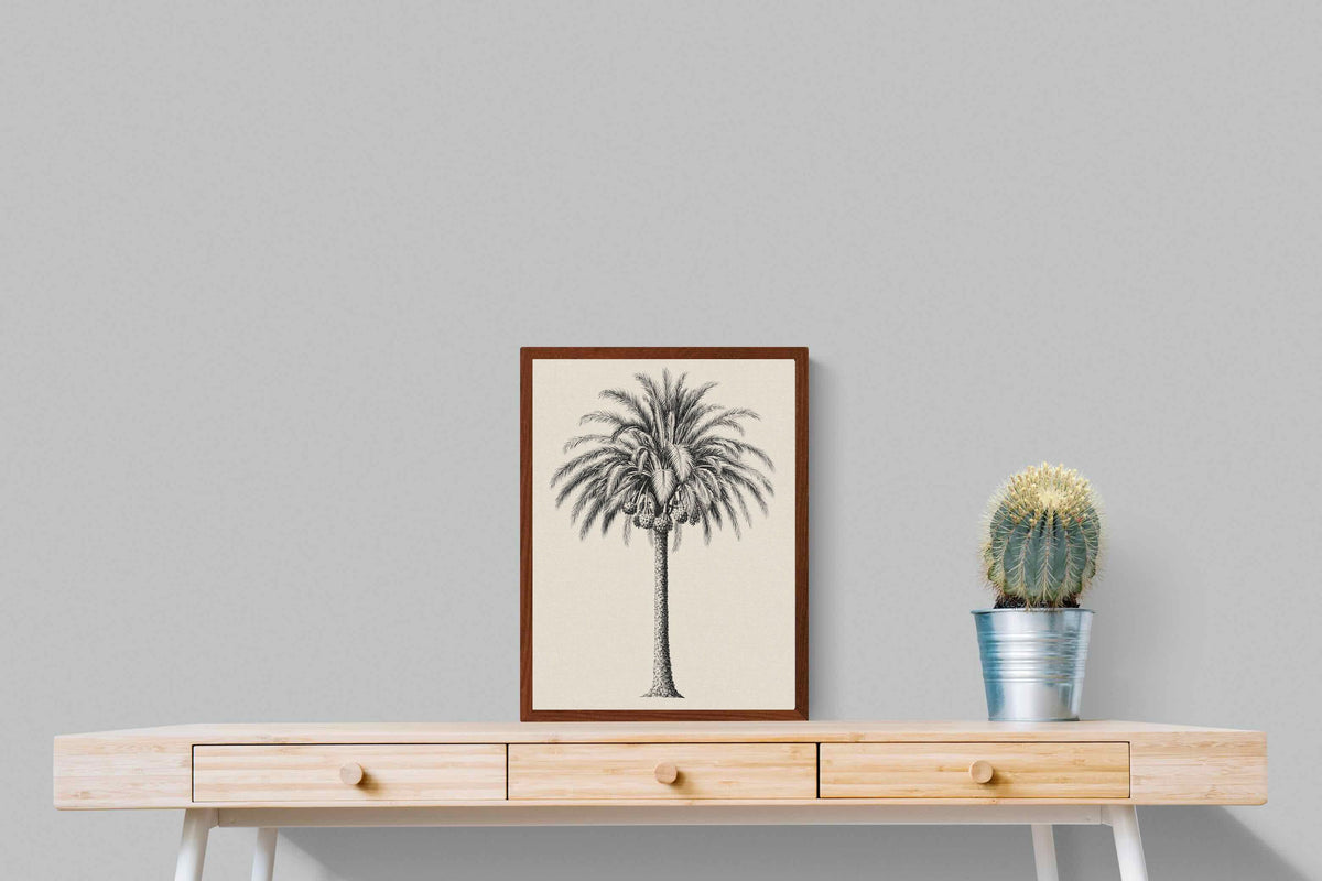 Pixalot ® Vintage Island Palm Illustration