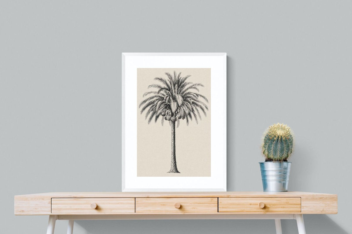 Pixalot ® Vintage Island Palm Illustration