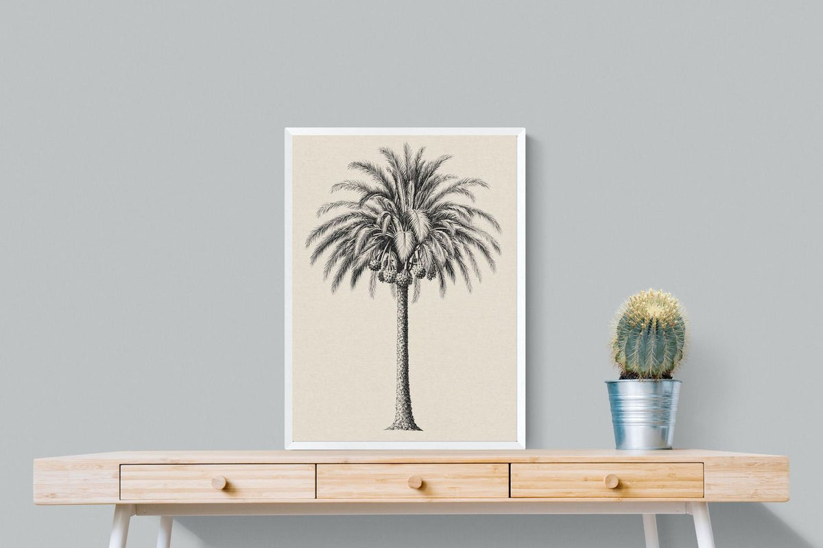 Pixalot ® Vintage Island Palm Illustration