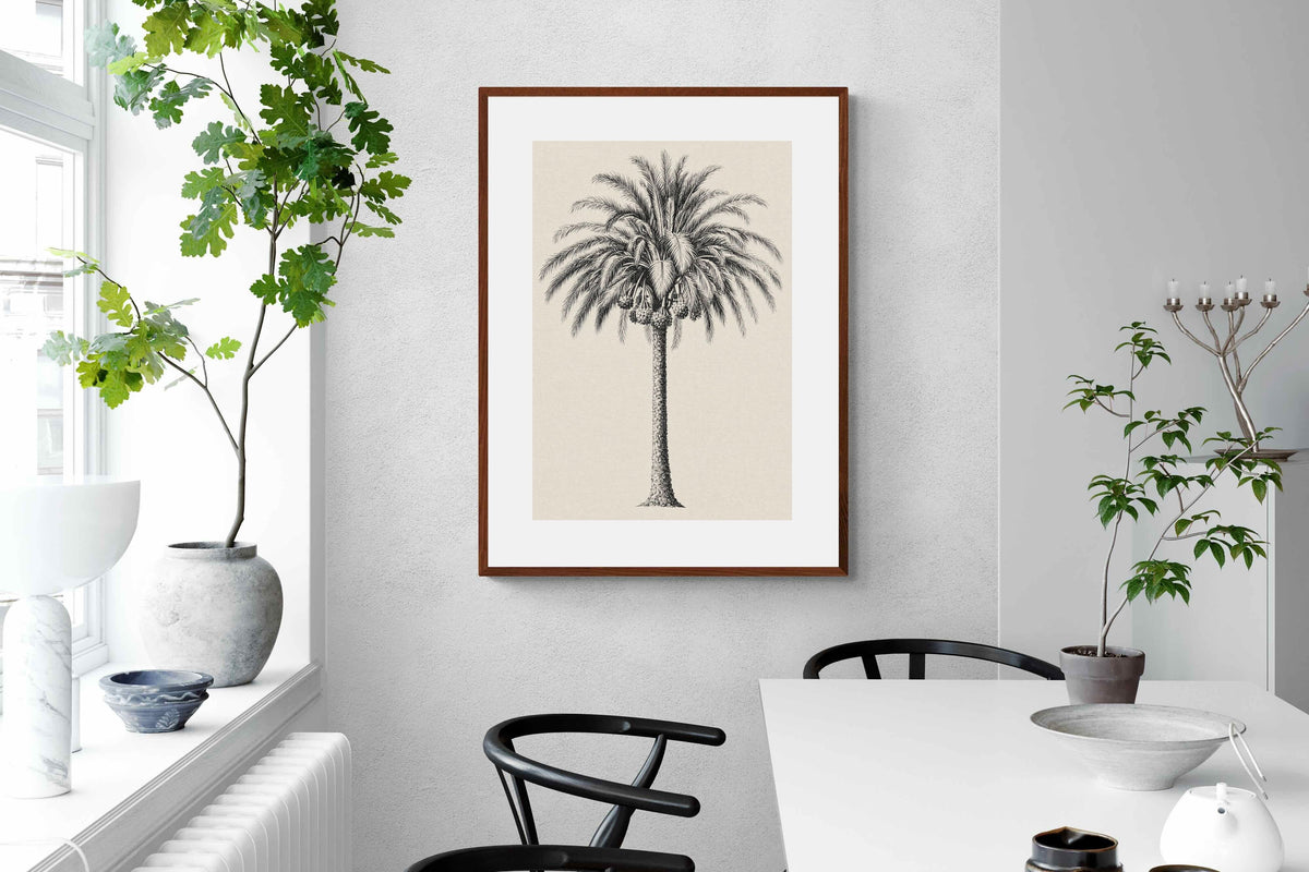 Pixalot ® Vintage Island Palm Illustration