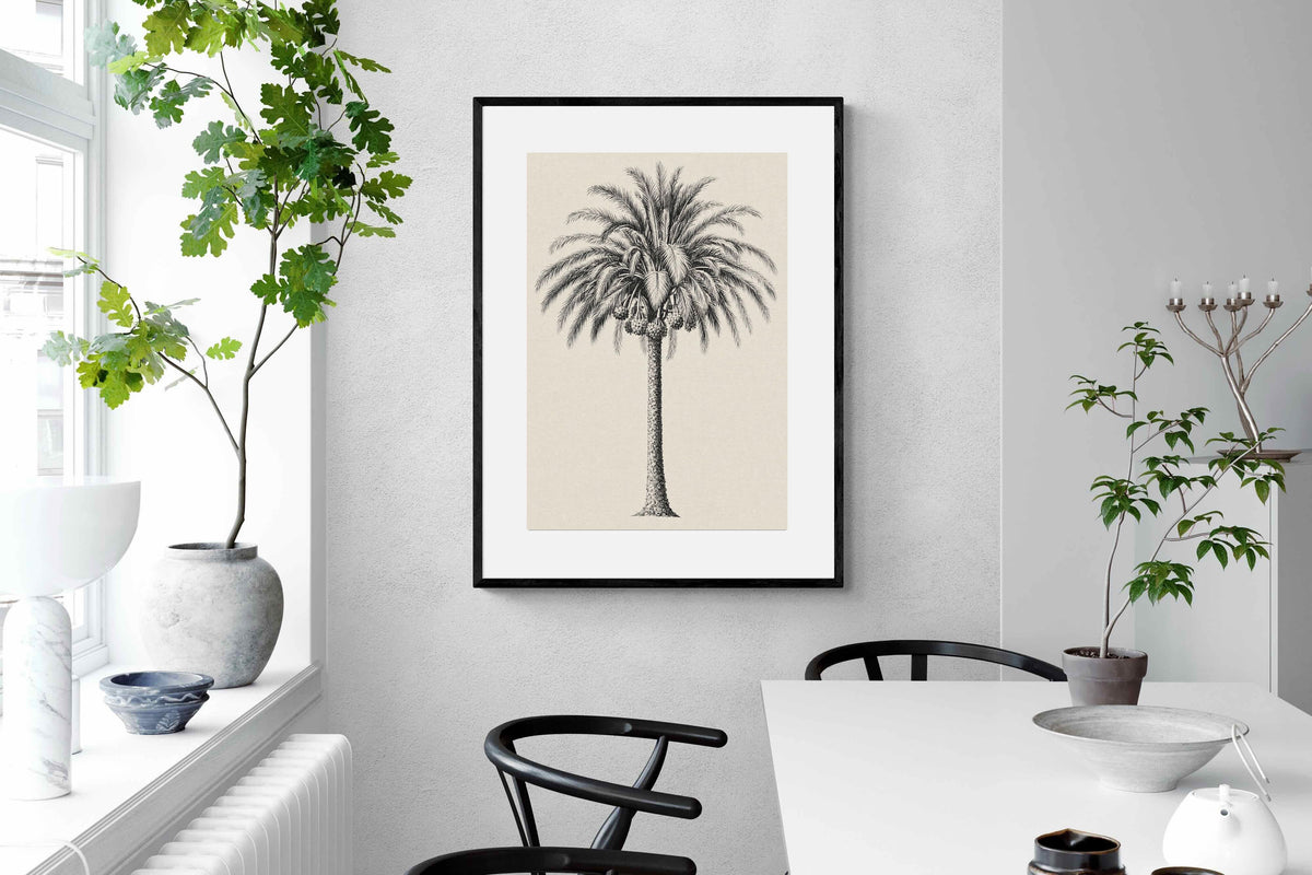 Pixalot ® Vintage Island Palm Illustration