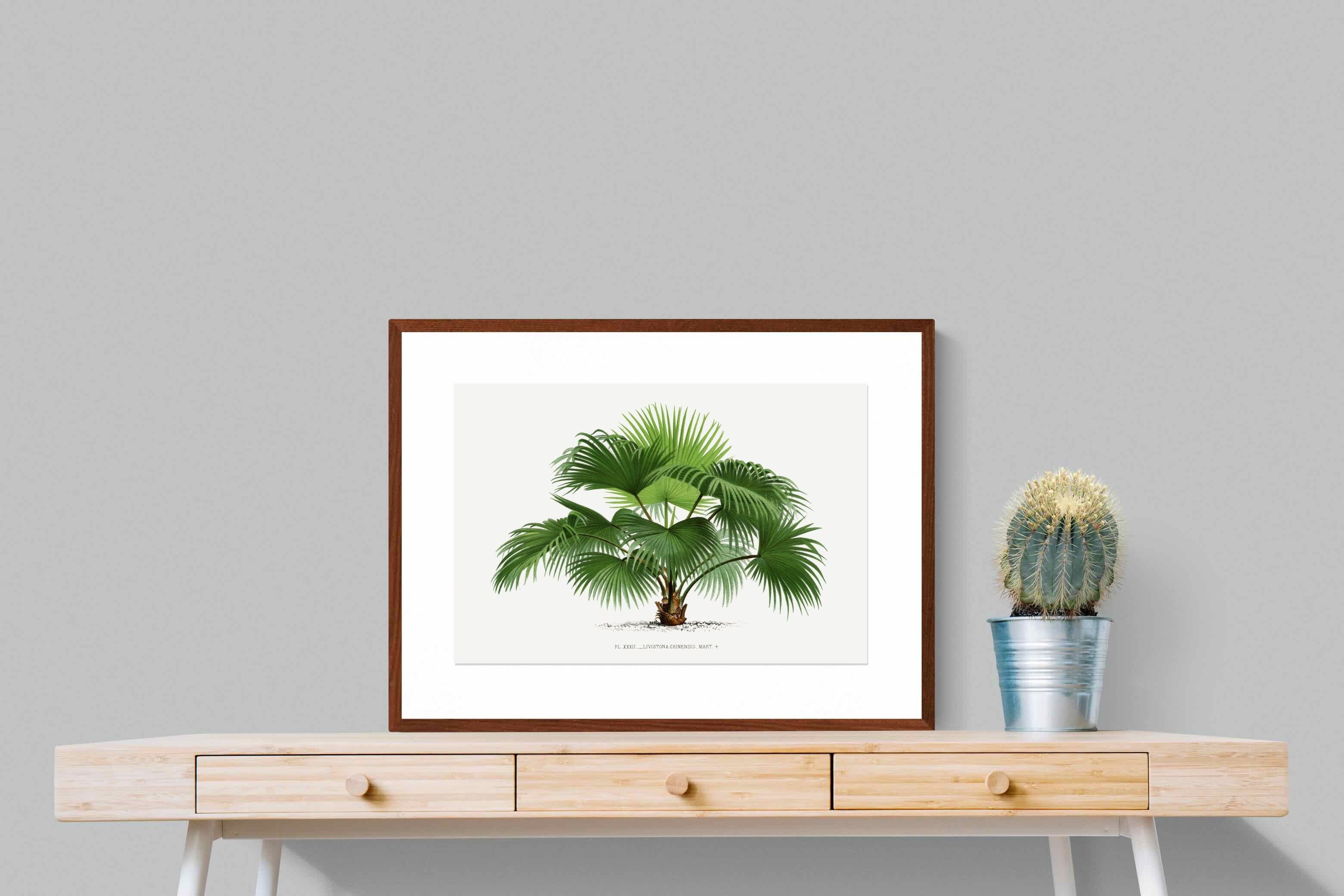 Pixalot ® Vintage Palm Illustration #1