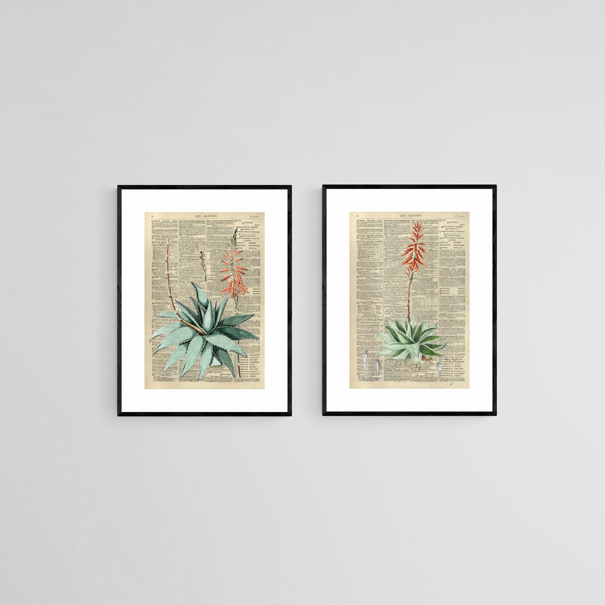 Vintage Press Aloe Set Wall Art | Canvas & Framed Prints – Pixalot