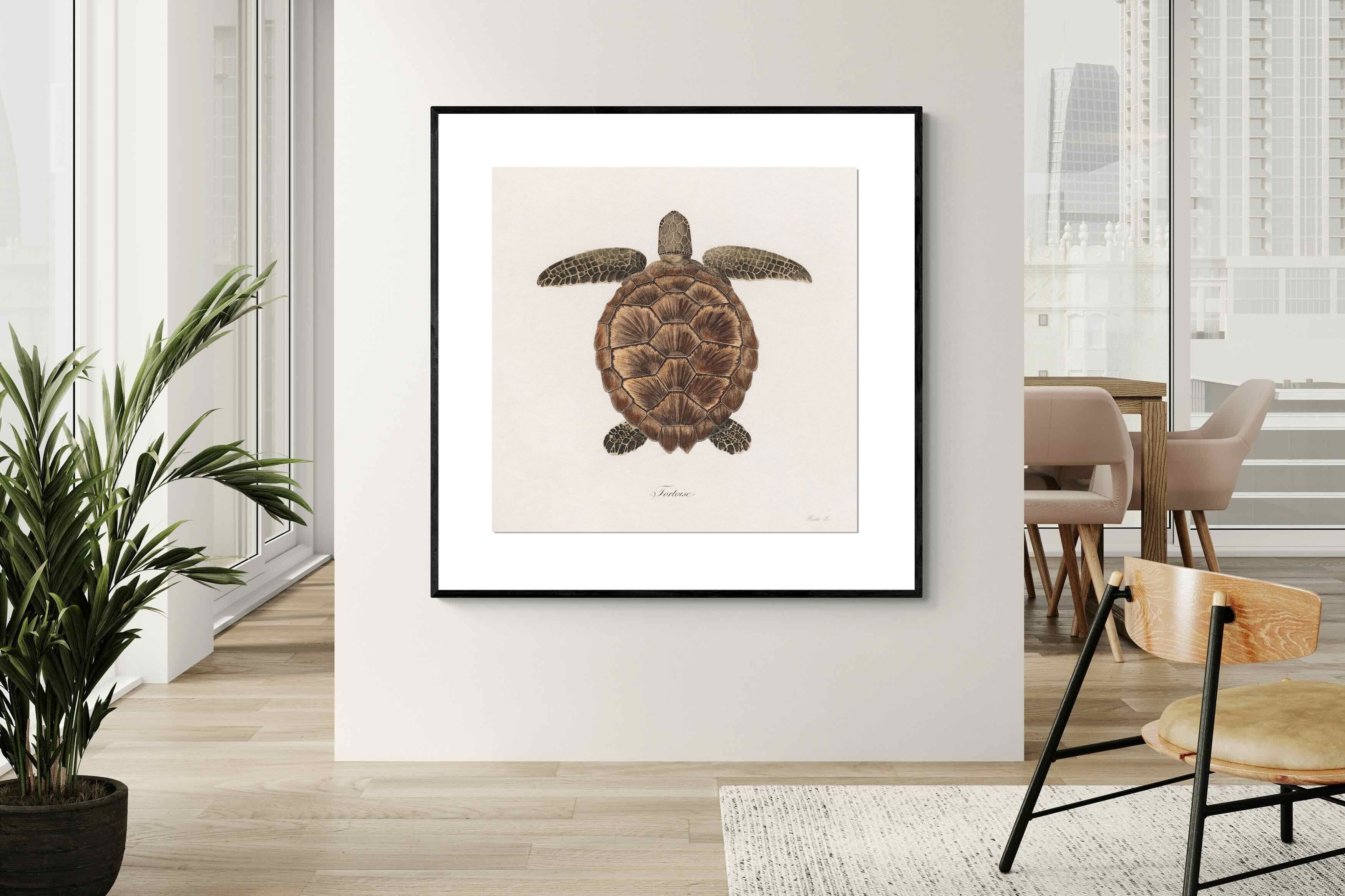 Pixalot Vintage Tortoise