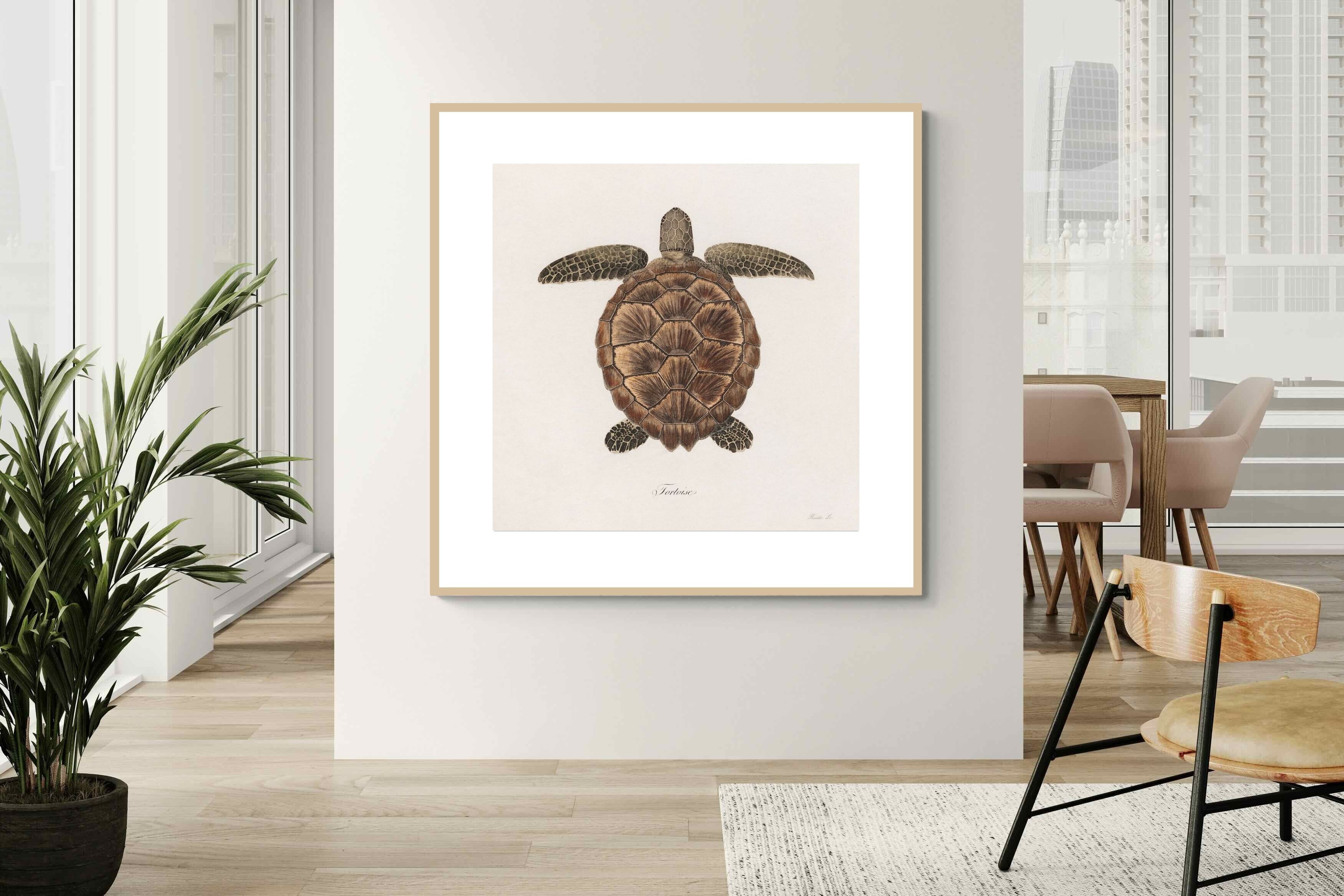 Pixalot Vintage Tortoise