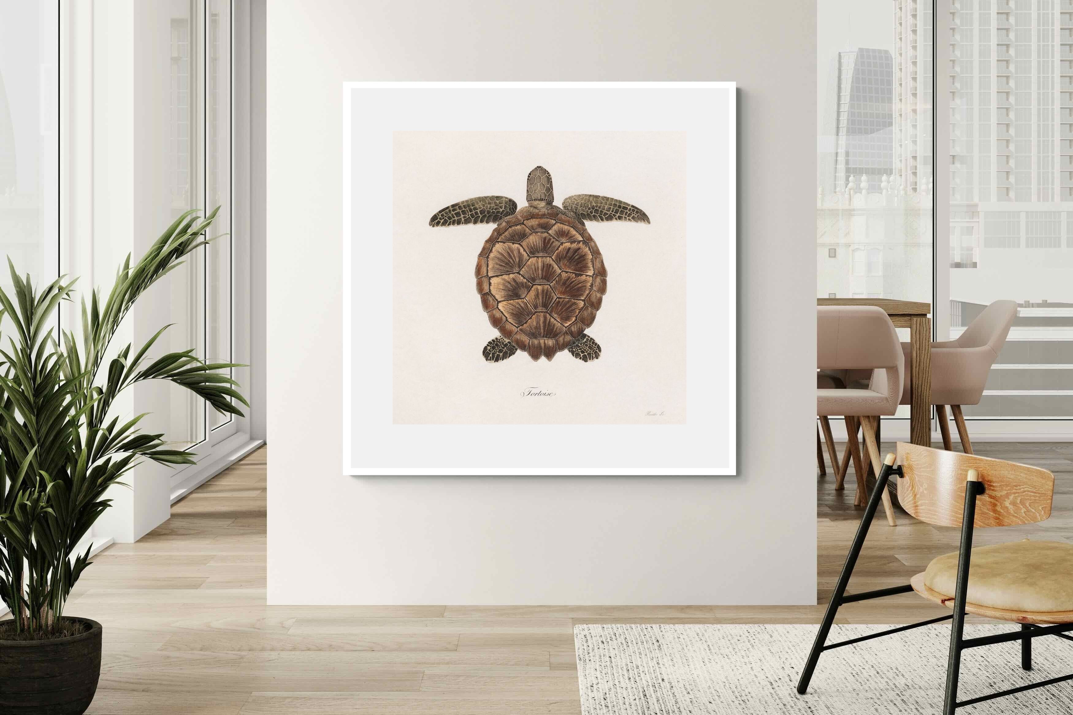 Pixalot Vintage Tortoise