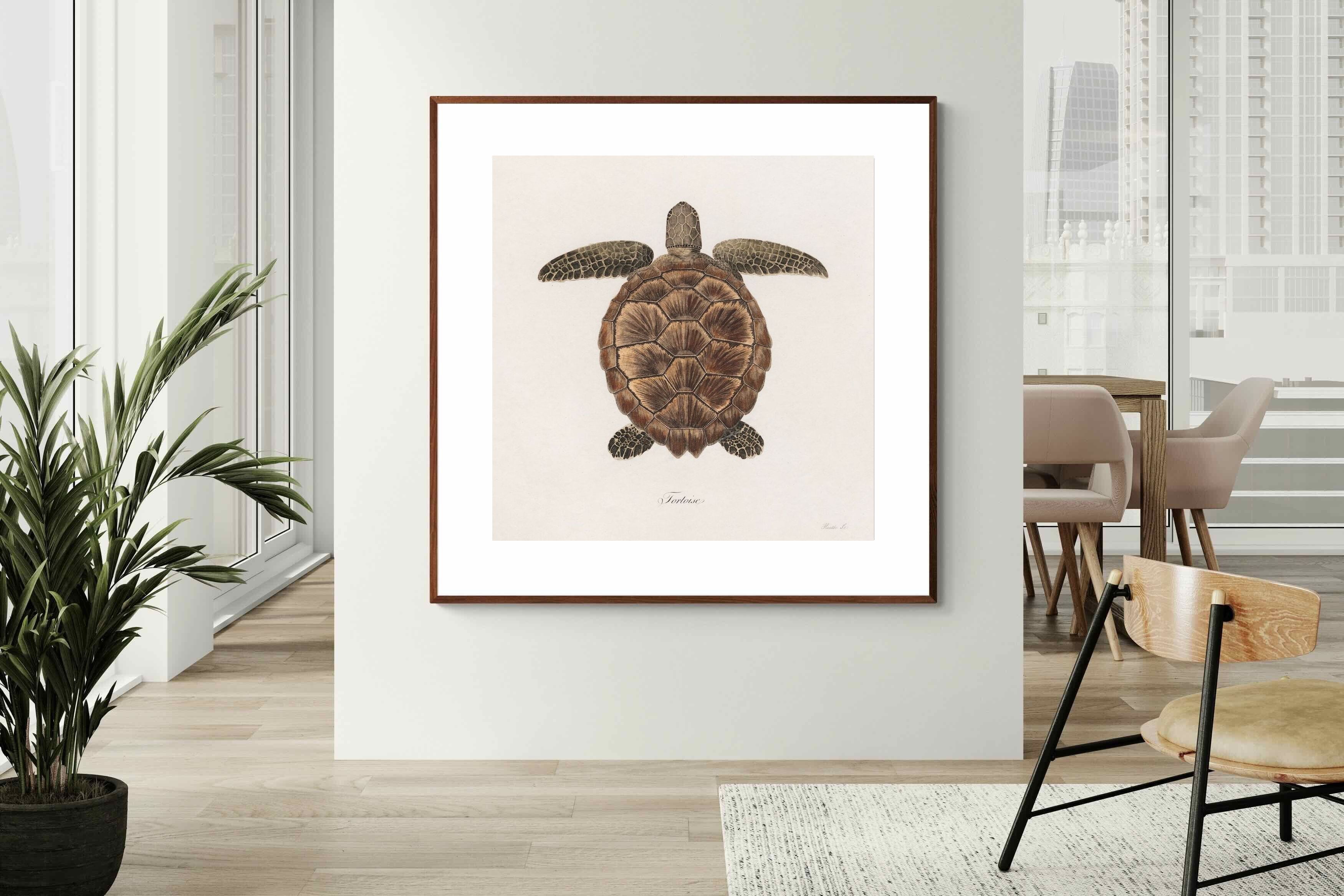 Pixalot Vintage Tortoise