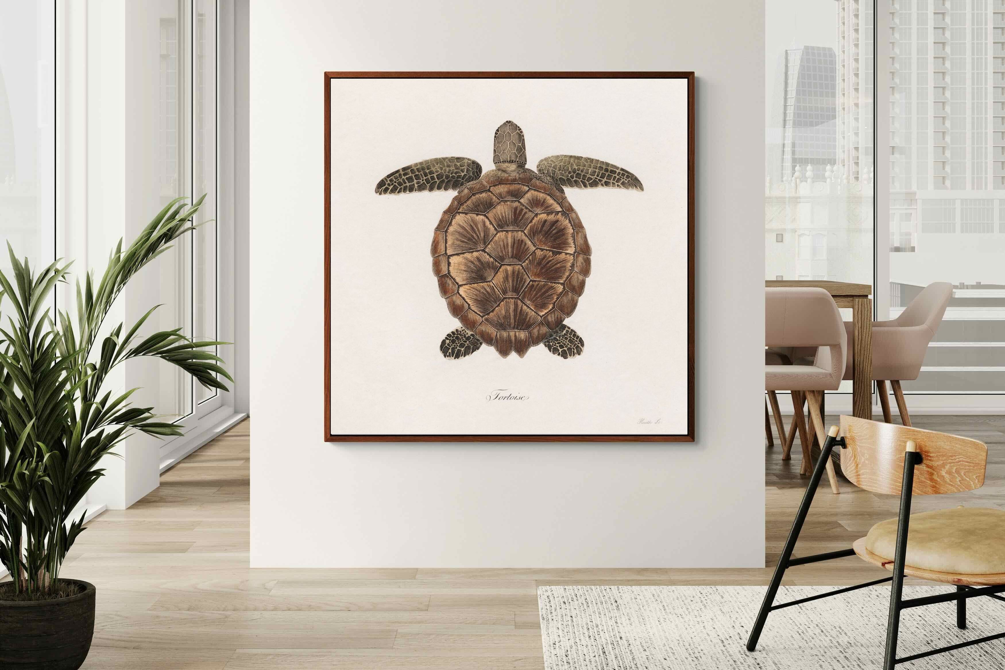 Pixalot Vintage Tortoise